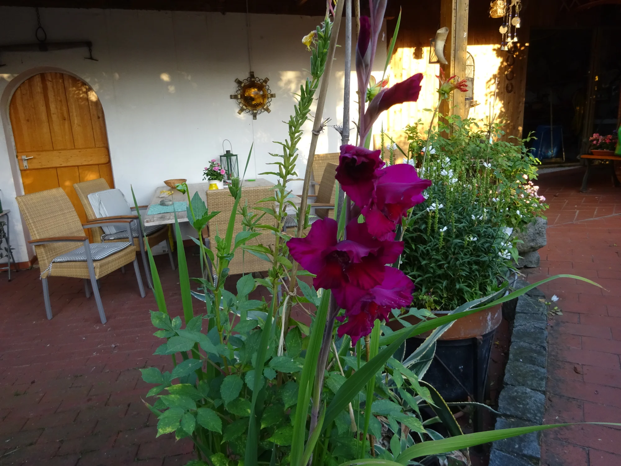 DSC03903.webp