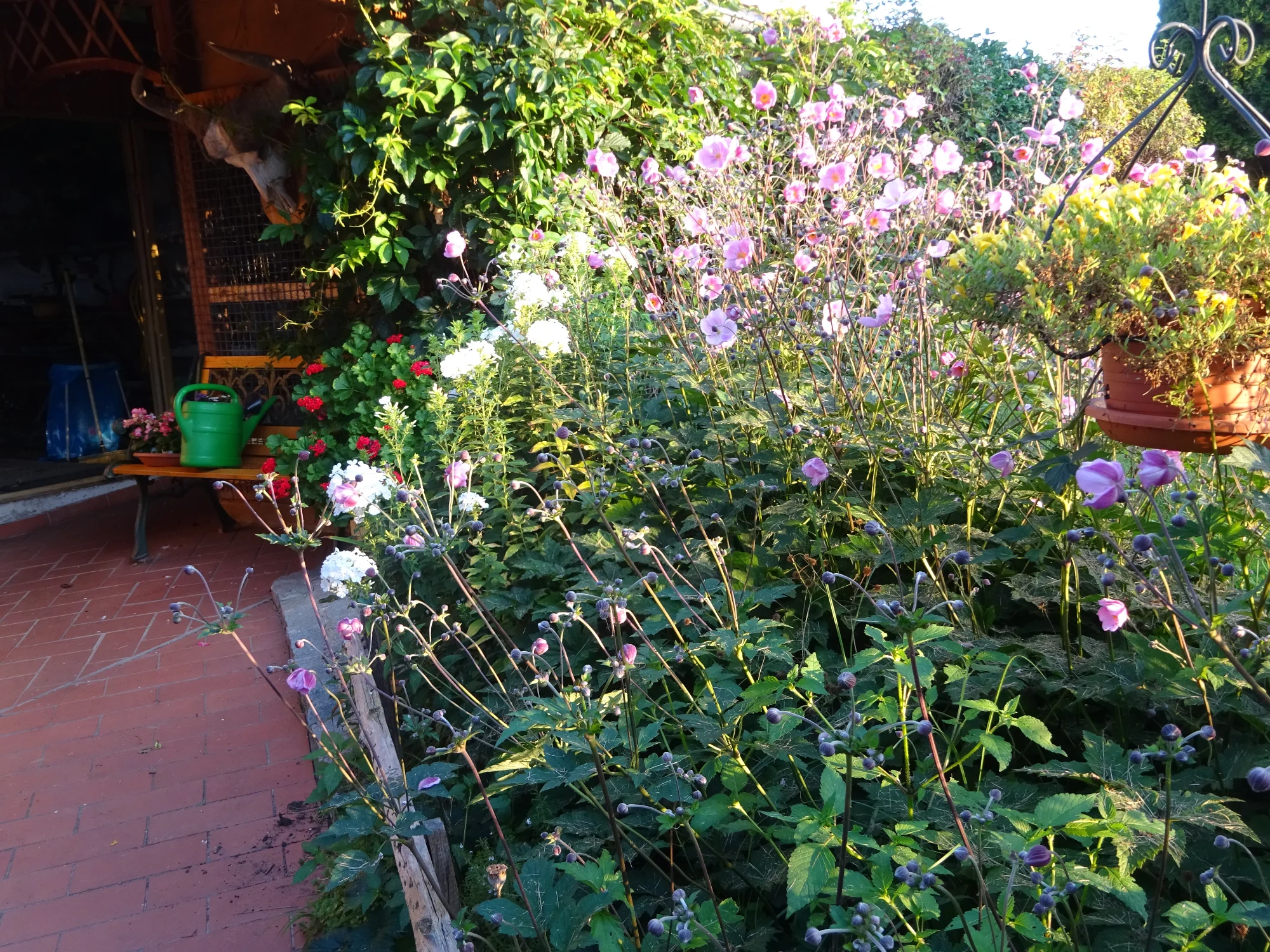 DSC03904.webp