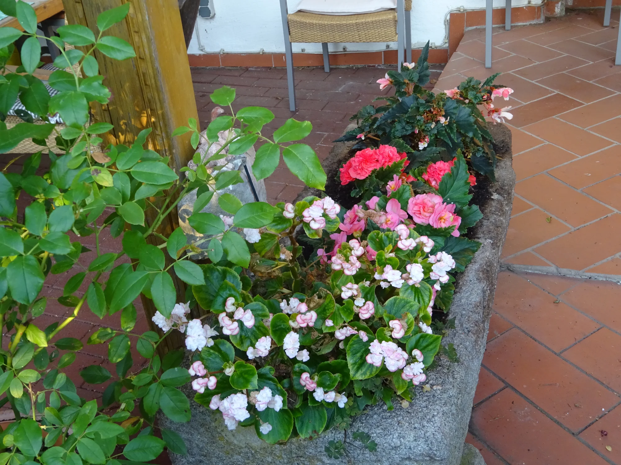 DSC03905.webp