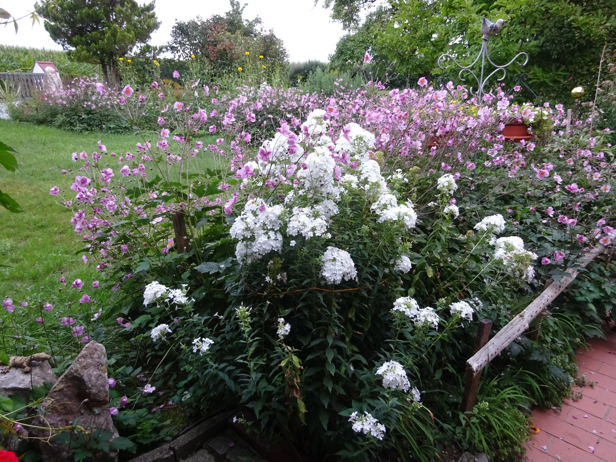 DSC03909.webp