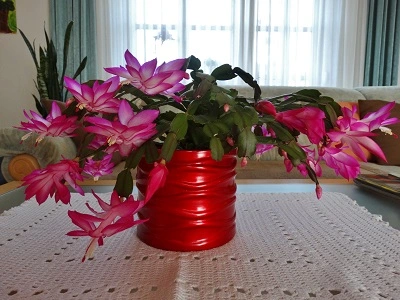 DSC03916.webp
