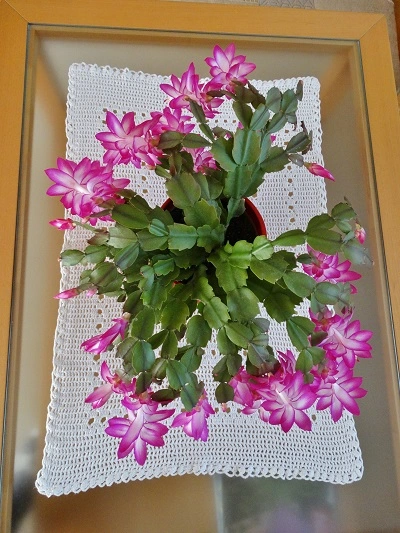 DSC03917.webp