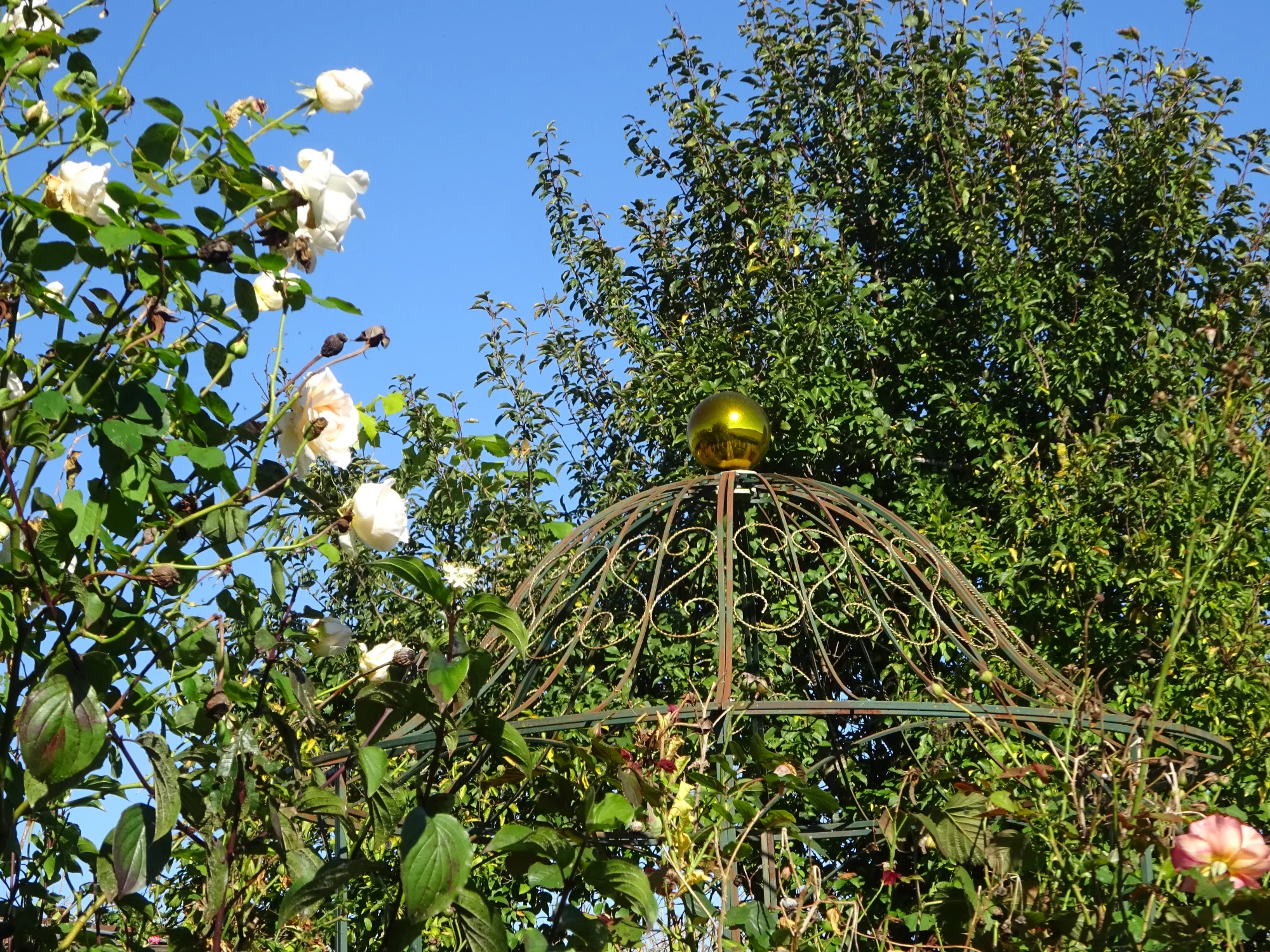 DSC03927.webp