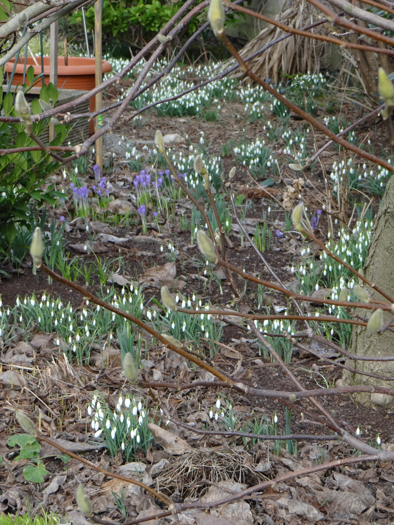 DSC03932.webp