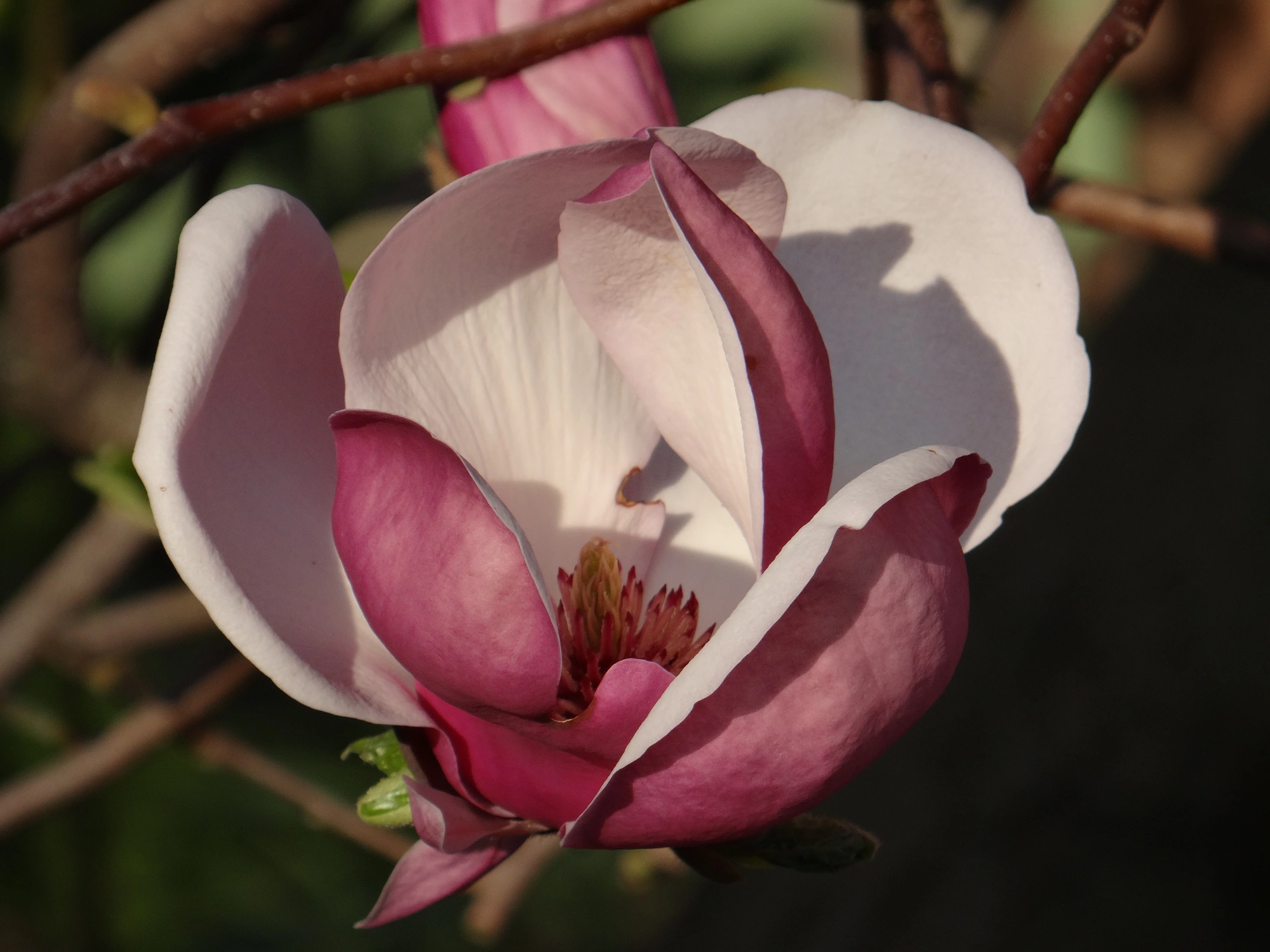 DSC03963.webp