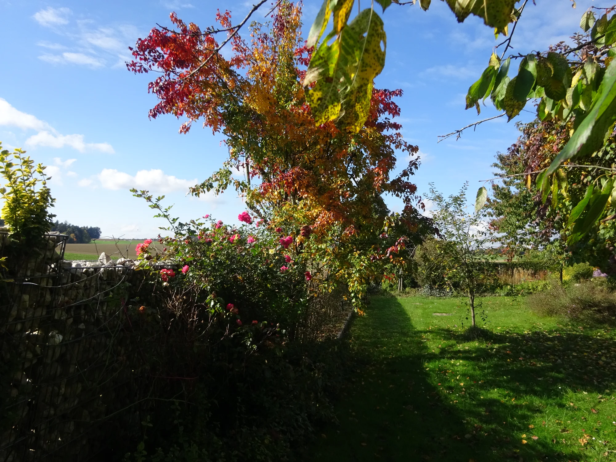 DSC03992.webp