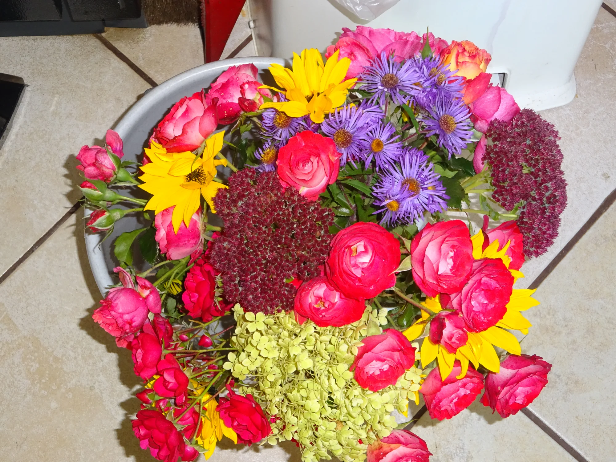 DSC03994.webp
