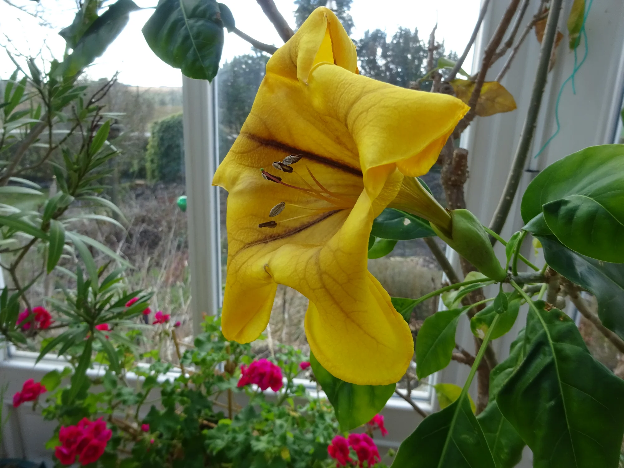 DSC04090.webp