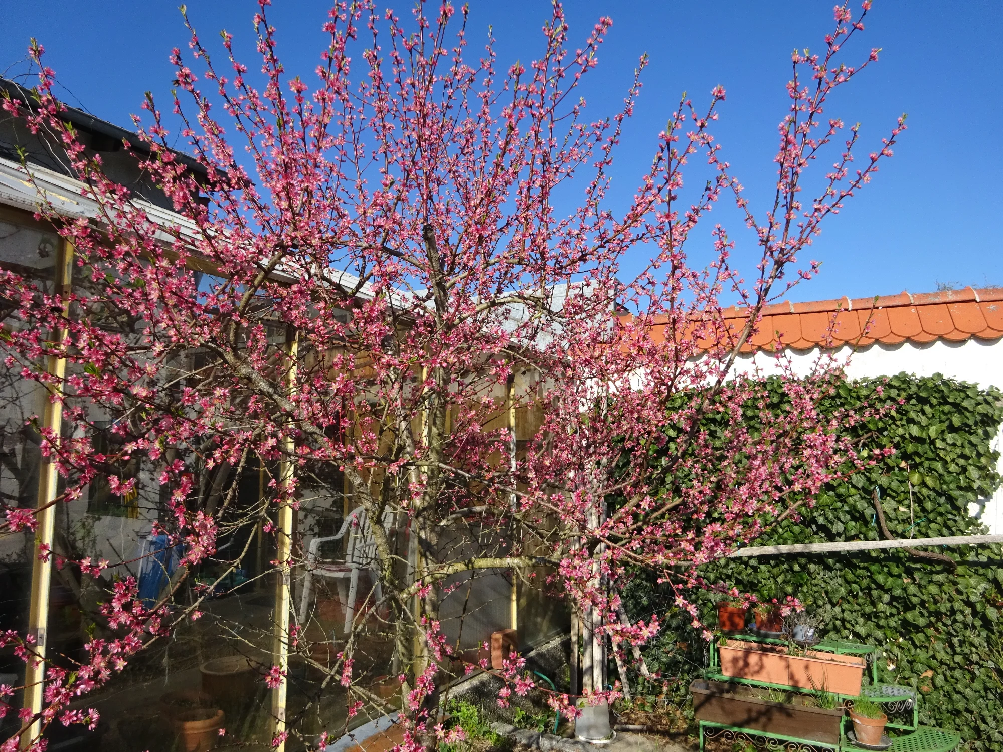 DSC04113.webp