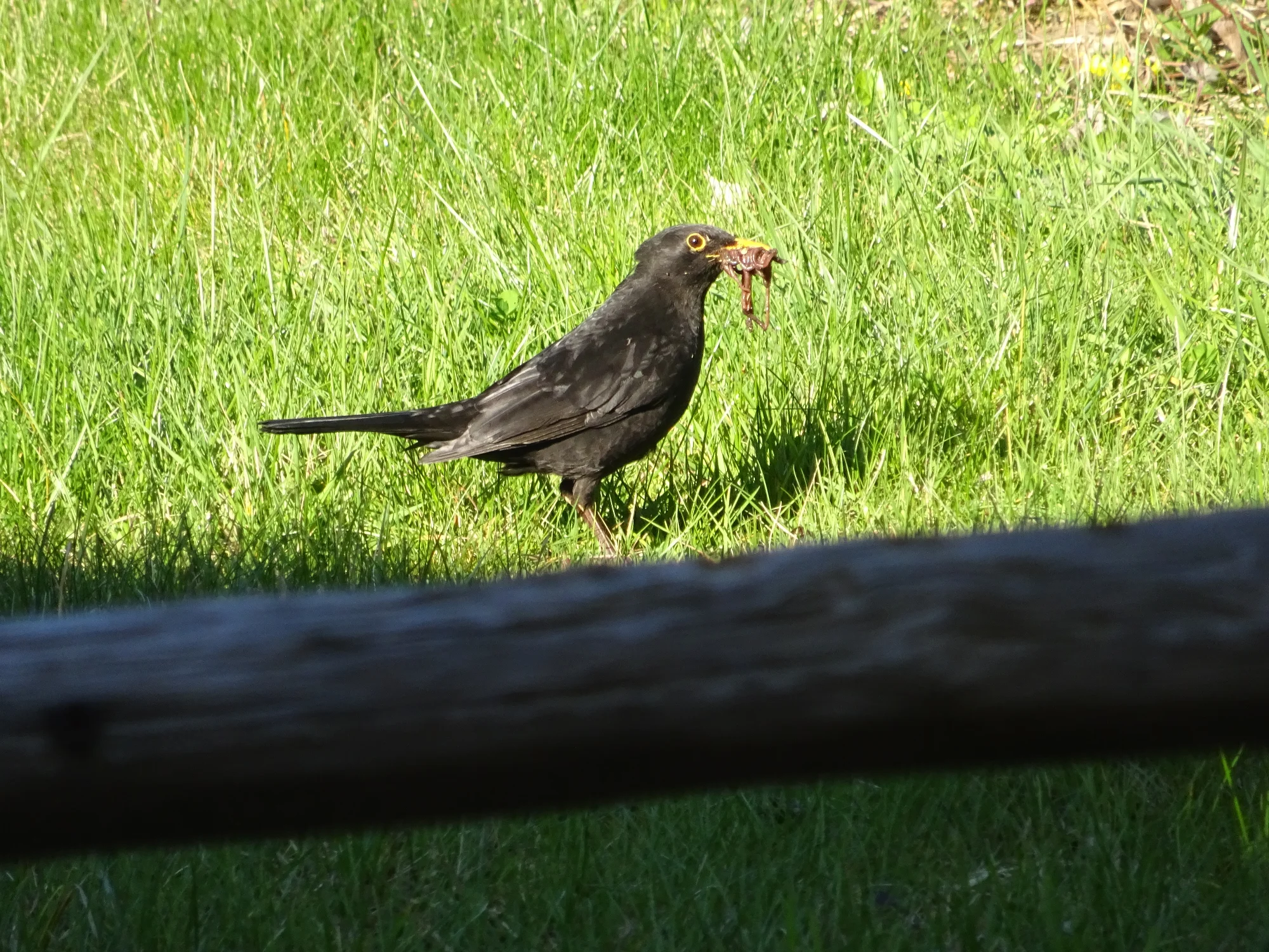 DSC04117 - Kopie.webp