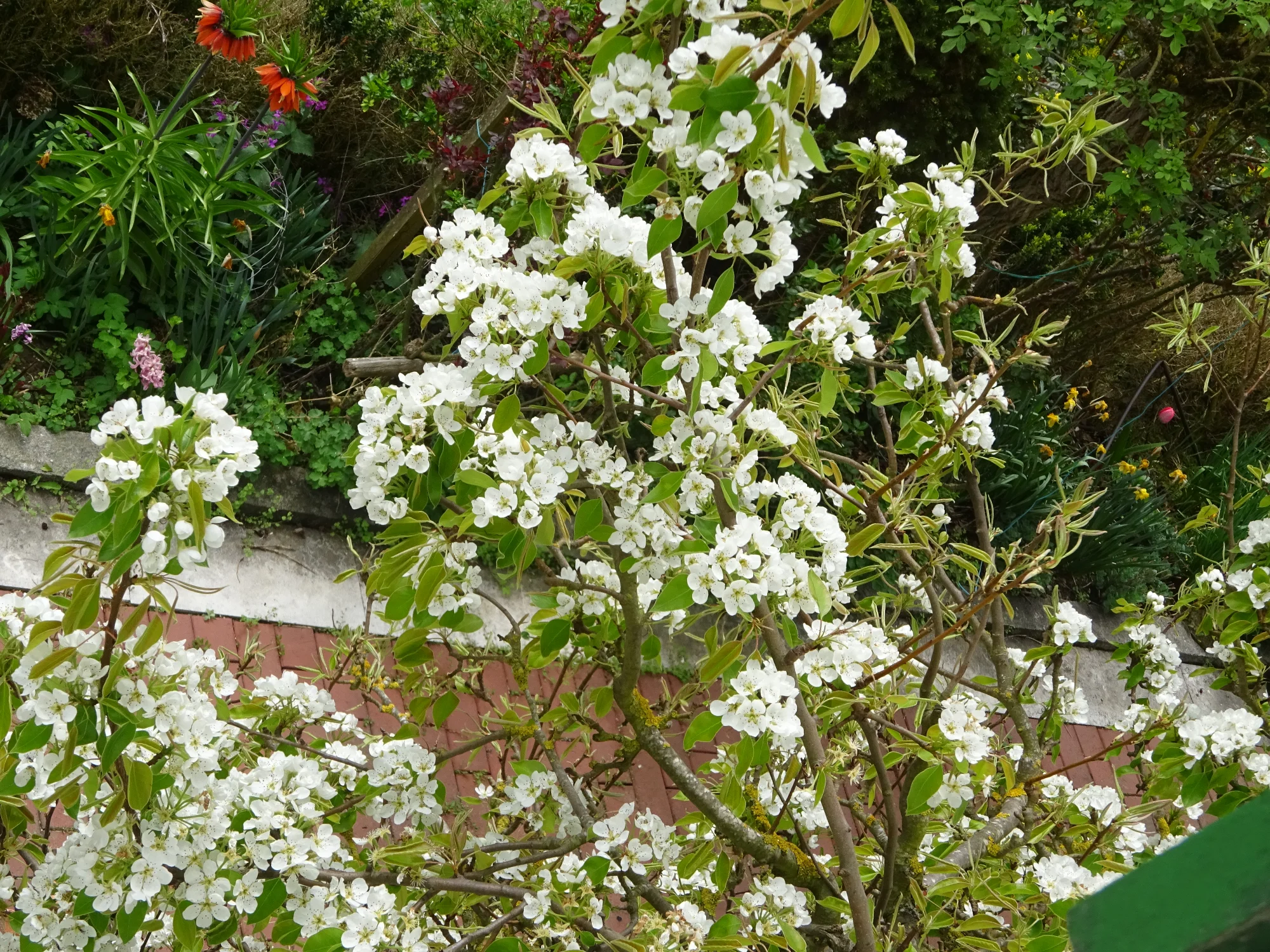 DSC04122.webp