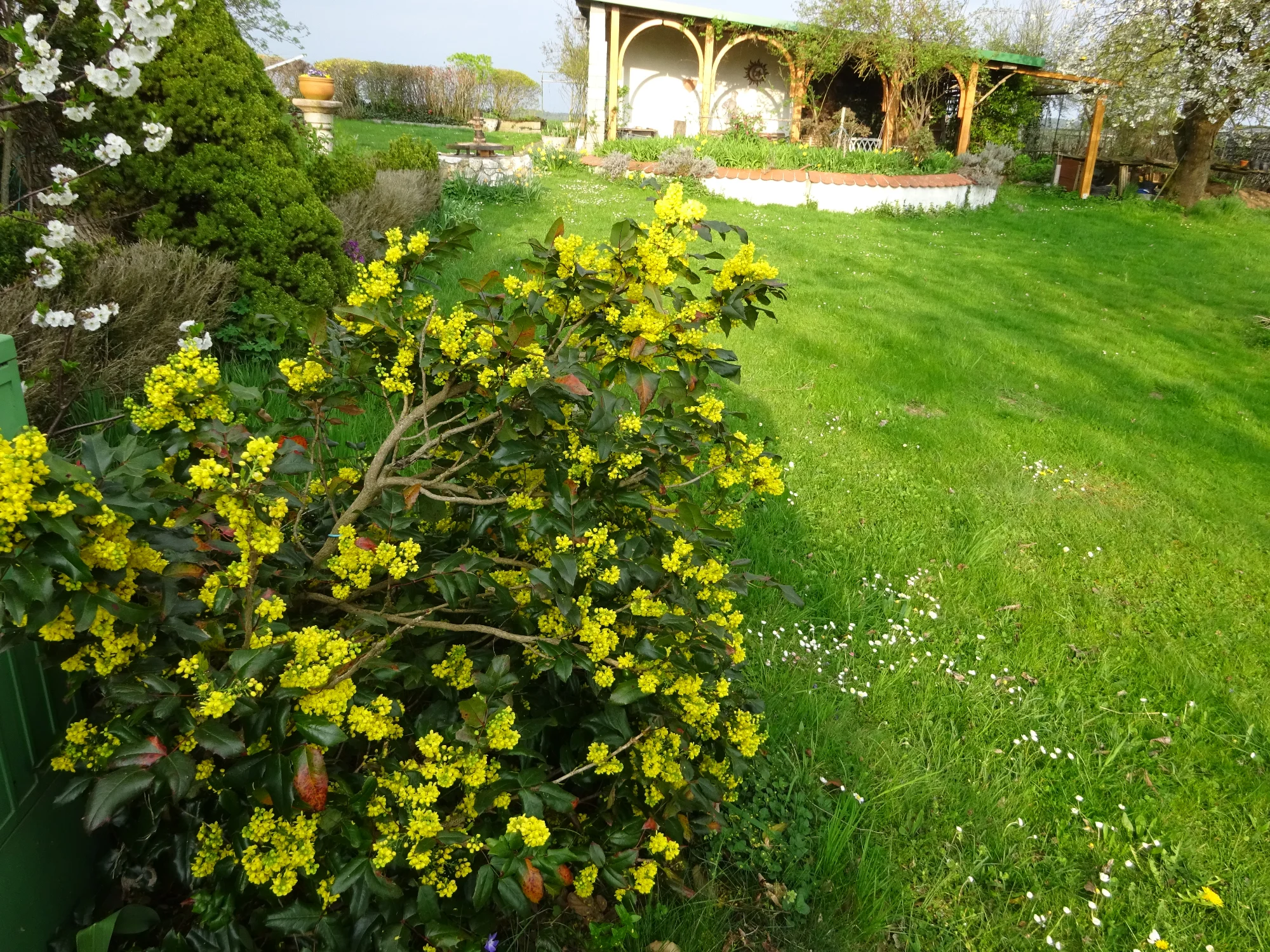 DSC04128.webp
