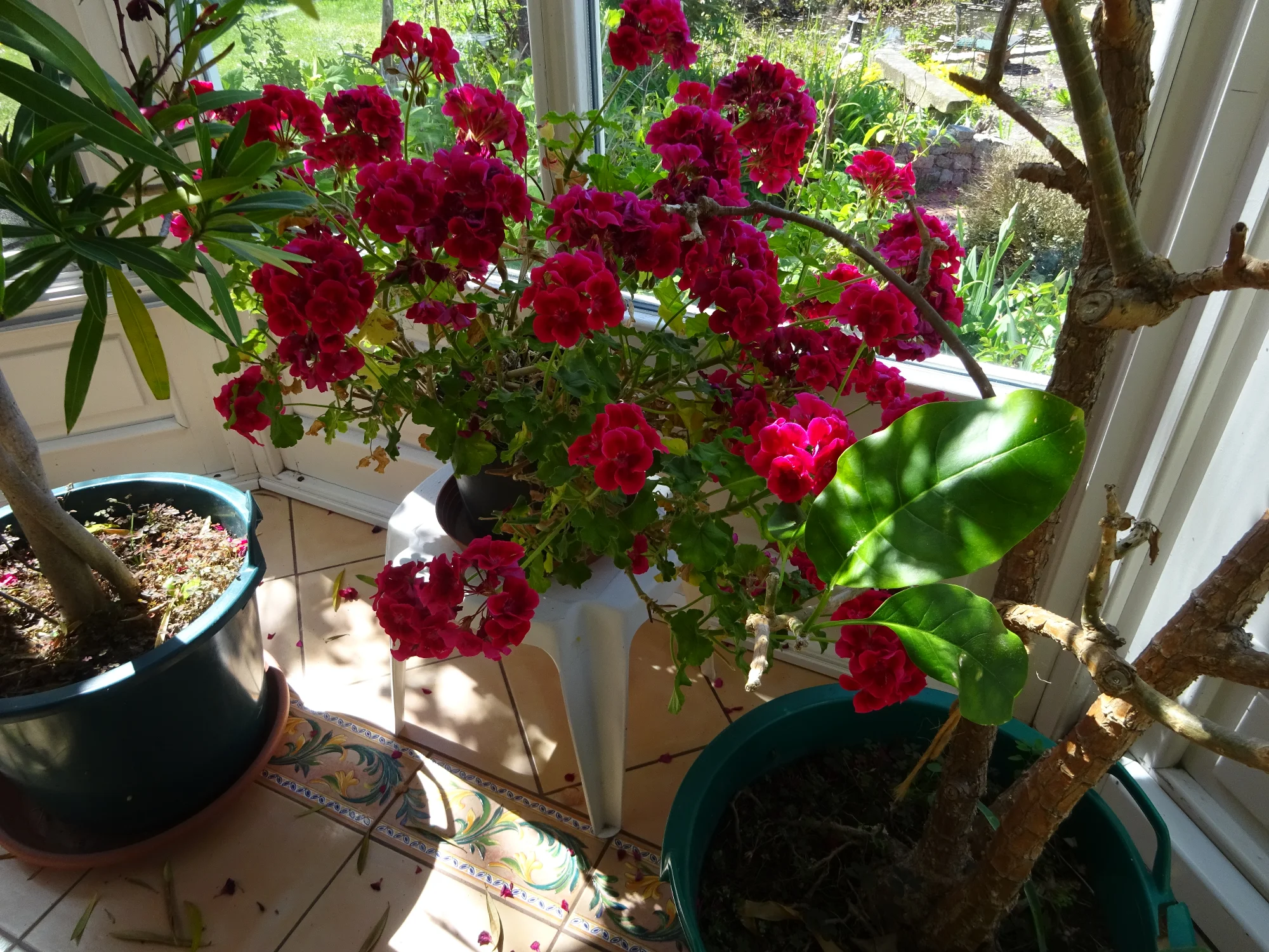 DSC04139.webp