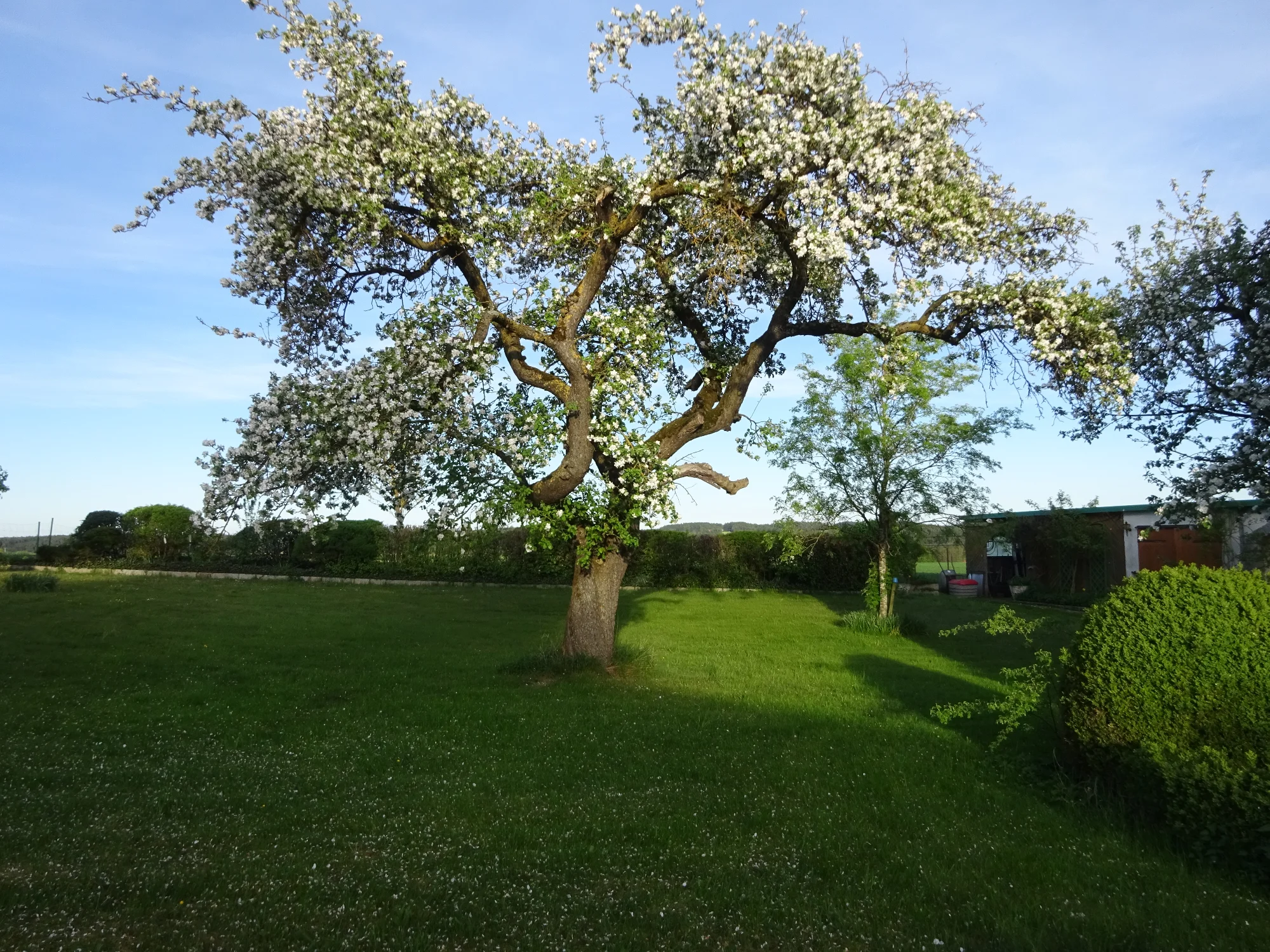DSC04141.webp