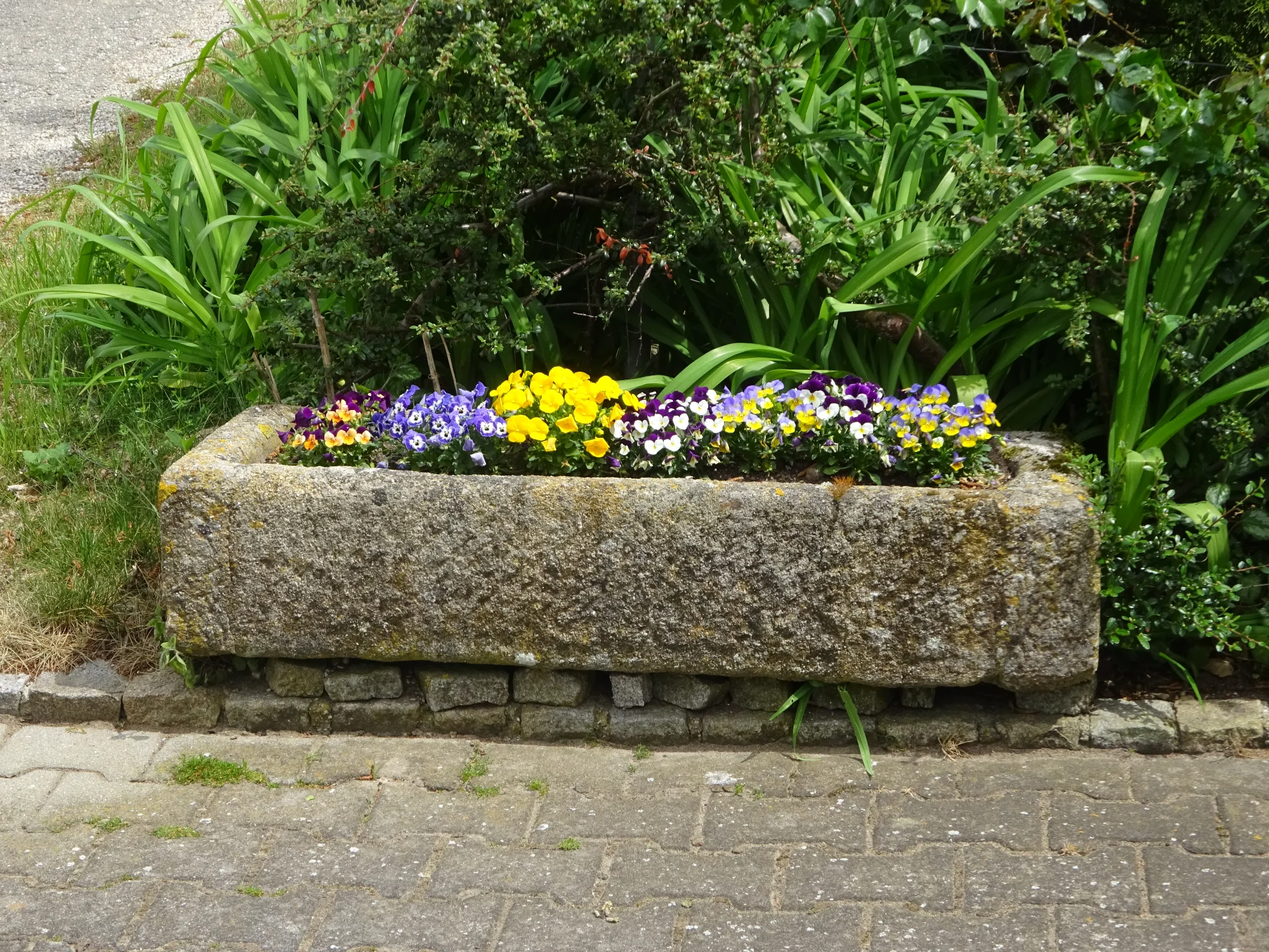 DSC04147.webp