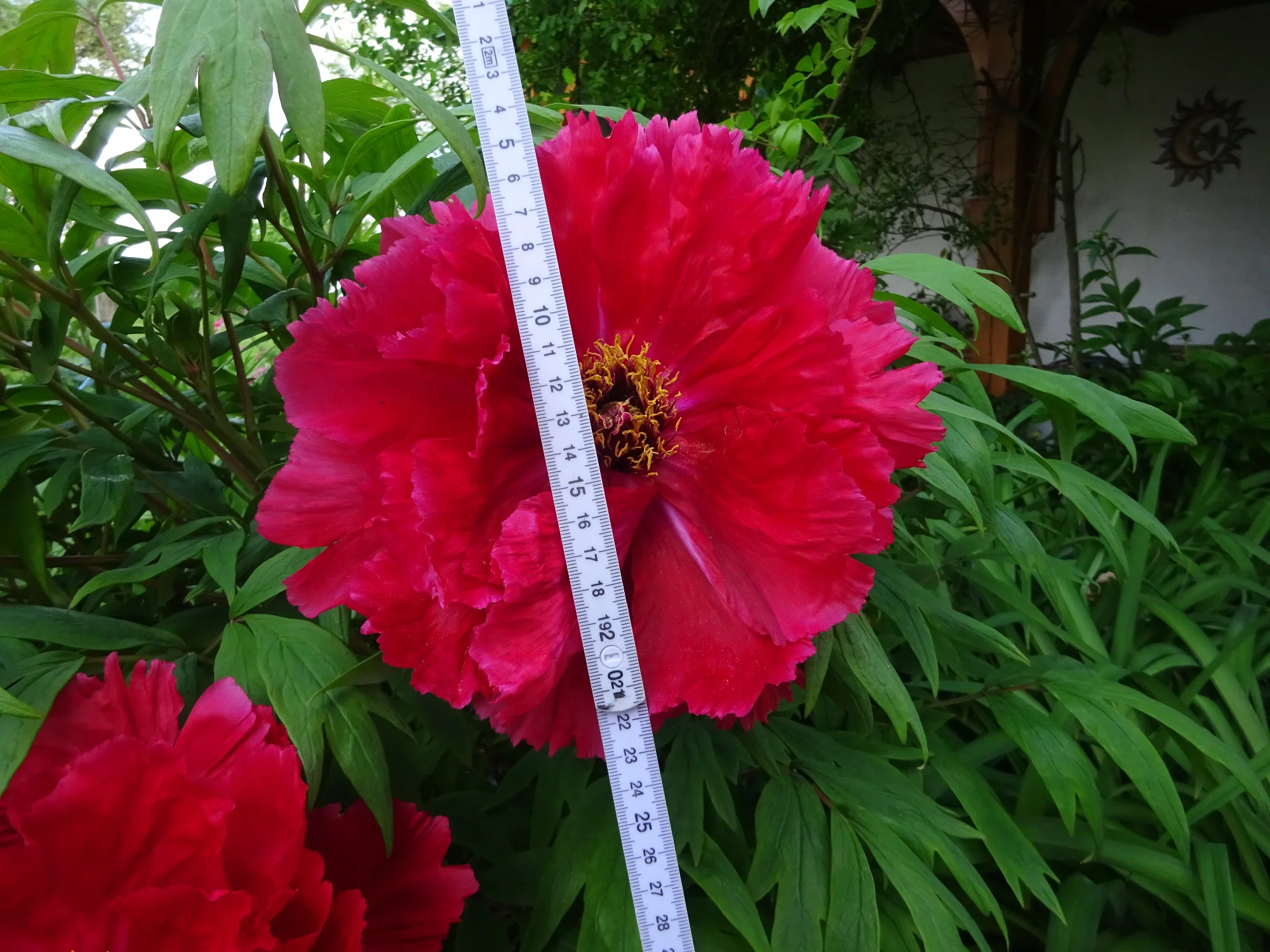DSC04148.webp