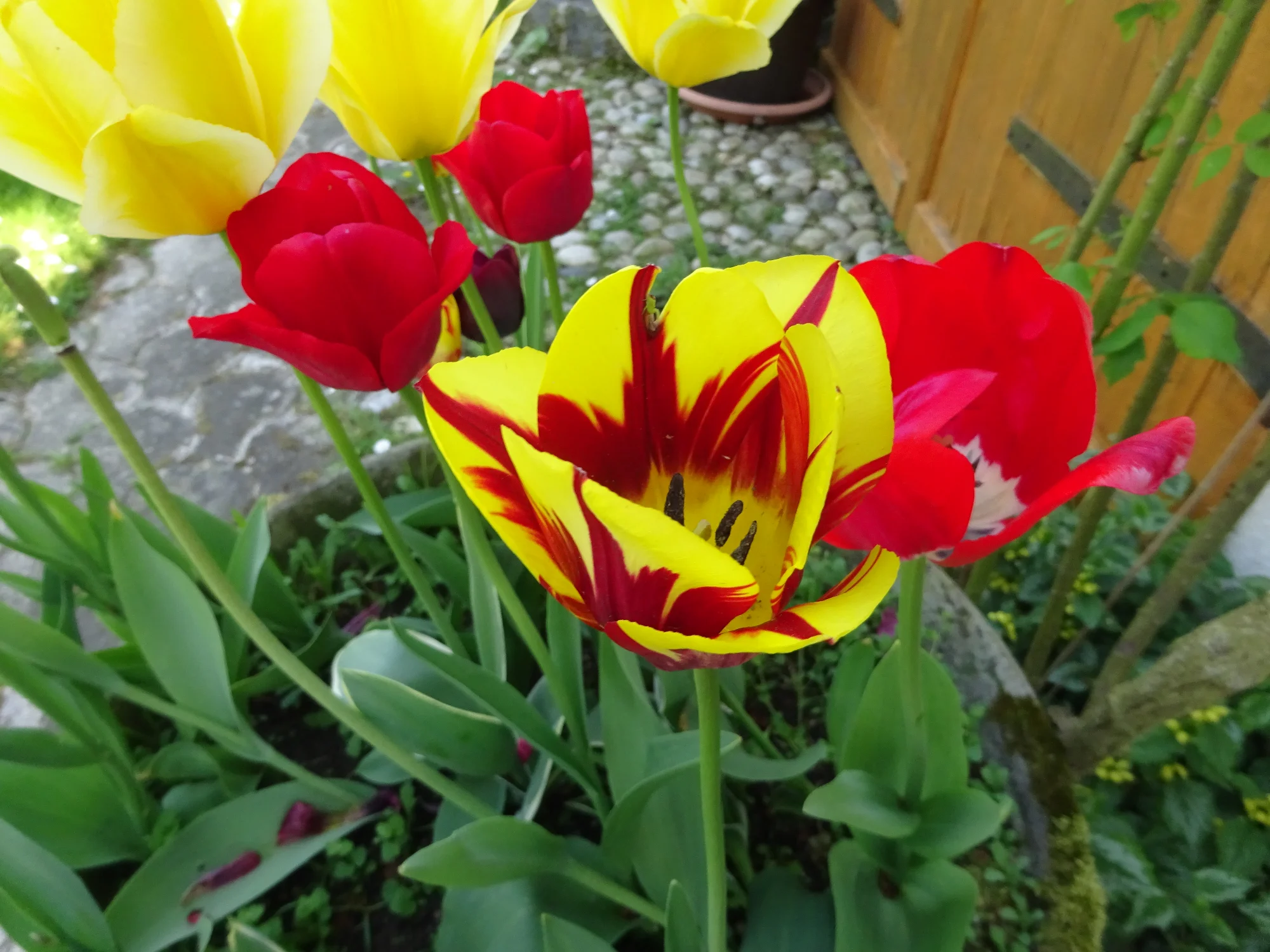 DSC04157.webp