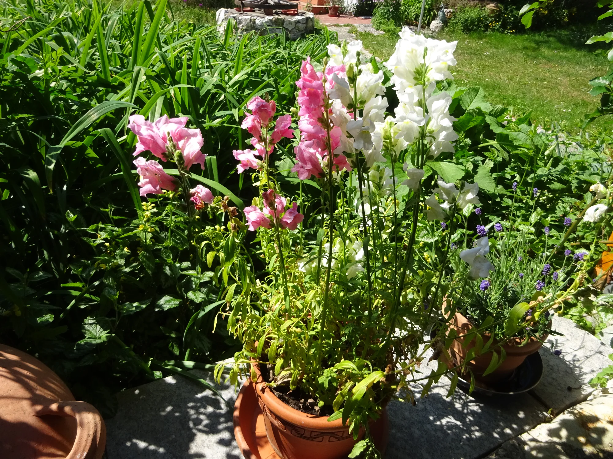 DSC04158.webp
