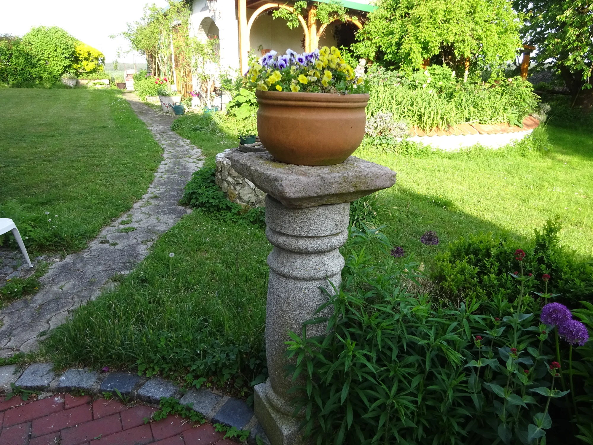 DSC04167.webp