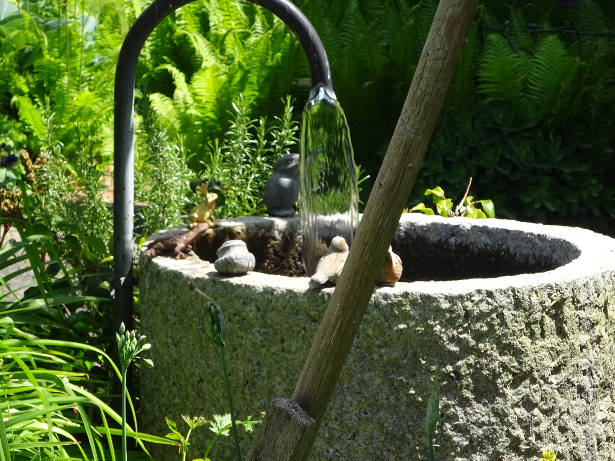DSC04171.webp