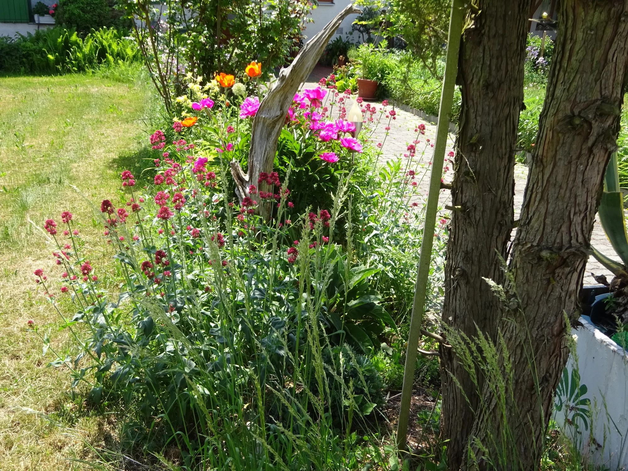 DSC04180.webp