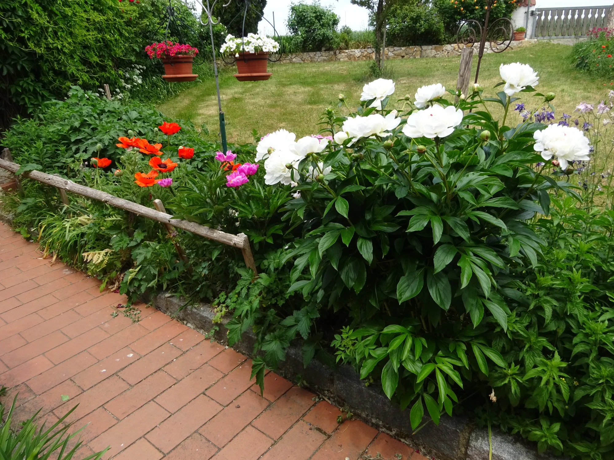 DSC04189.webp
