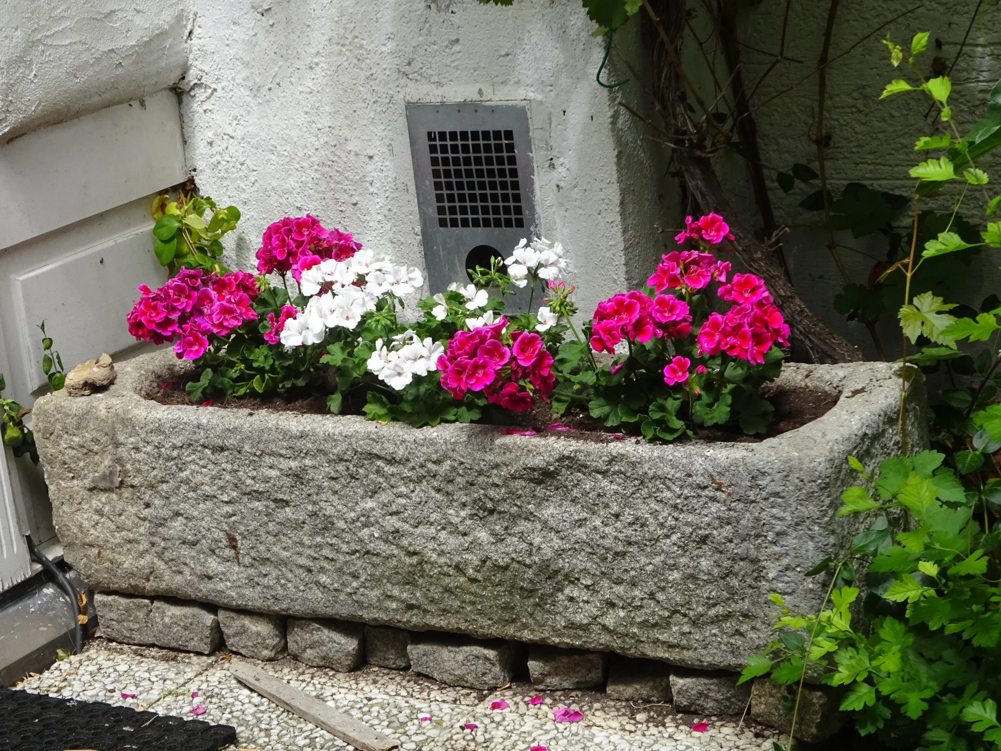 DSC04203.webp