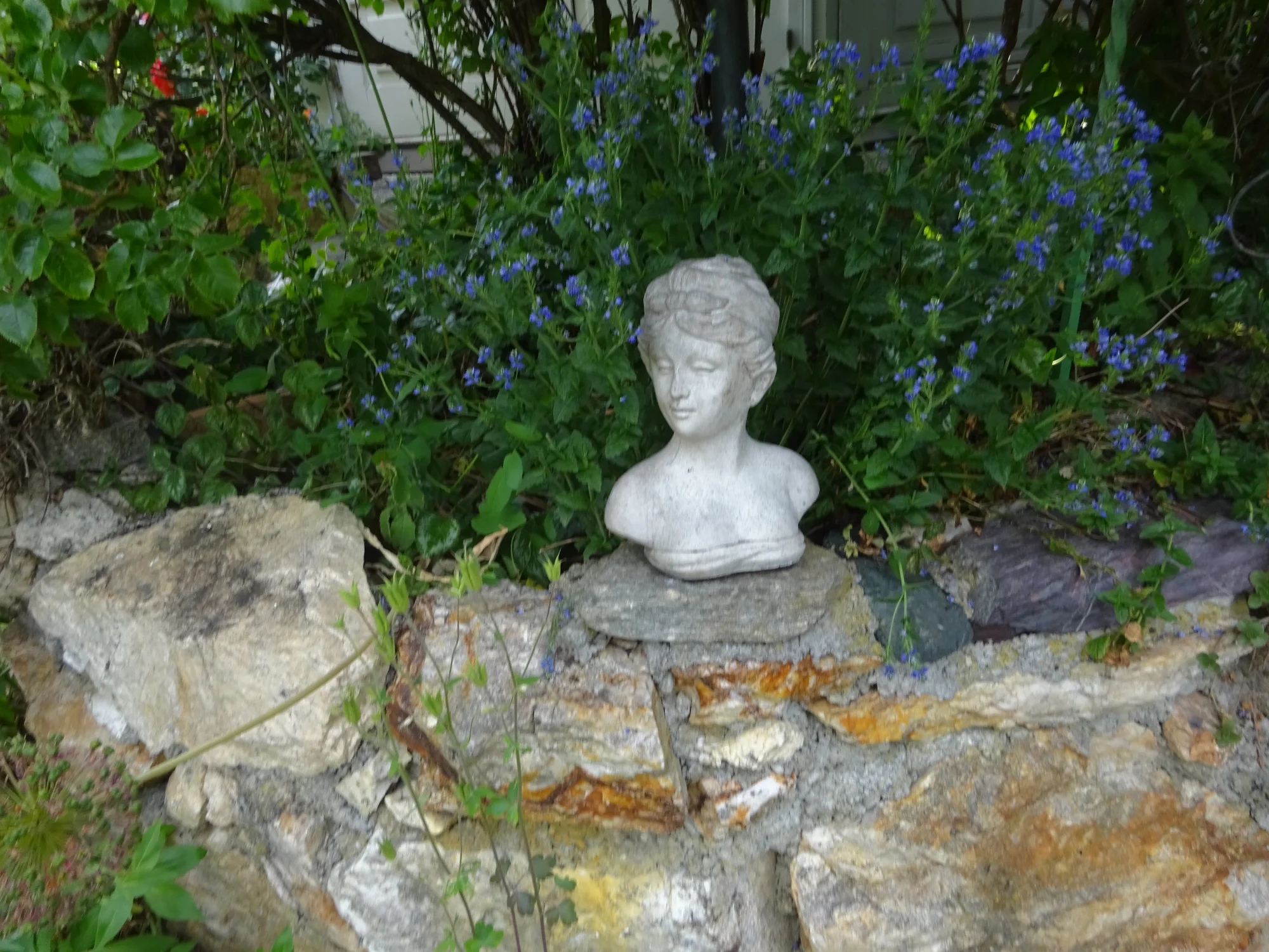 DSC04214.webp
