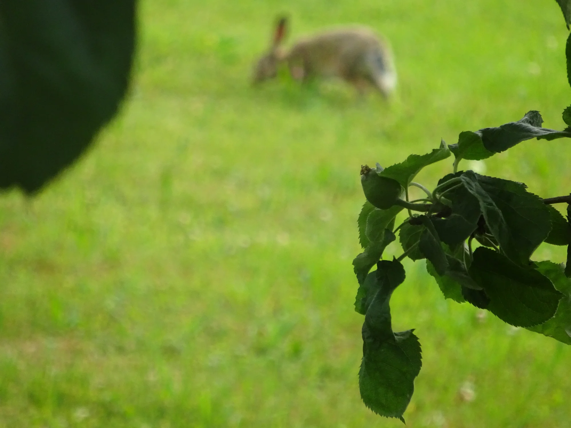 DSC04220.webp