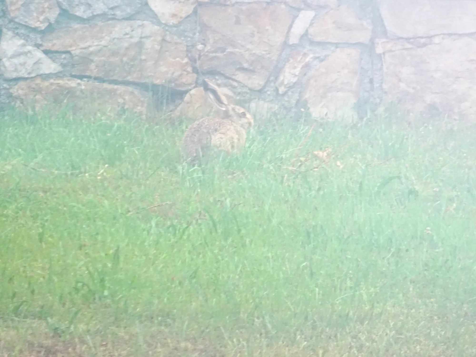 DSC04230.webp