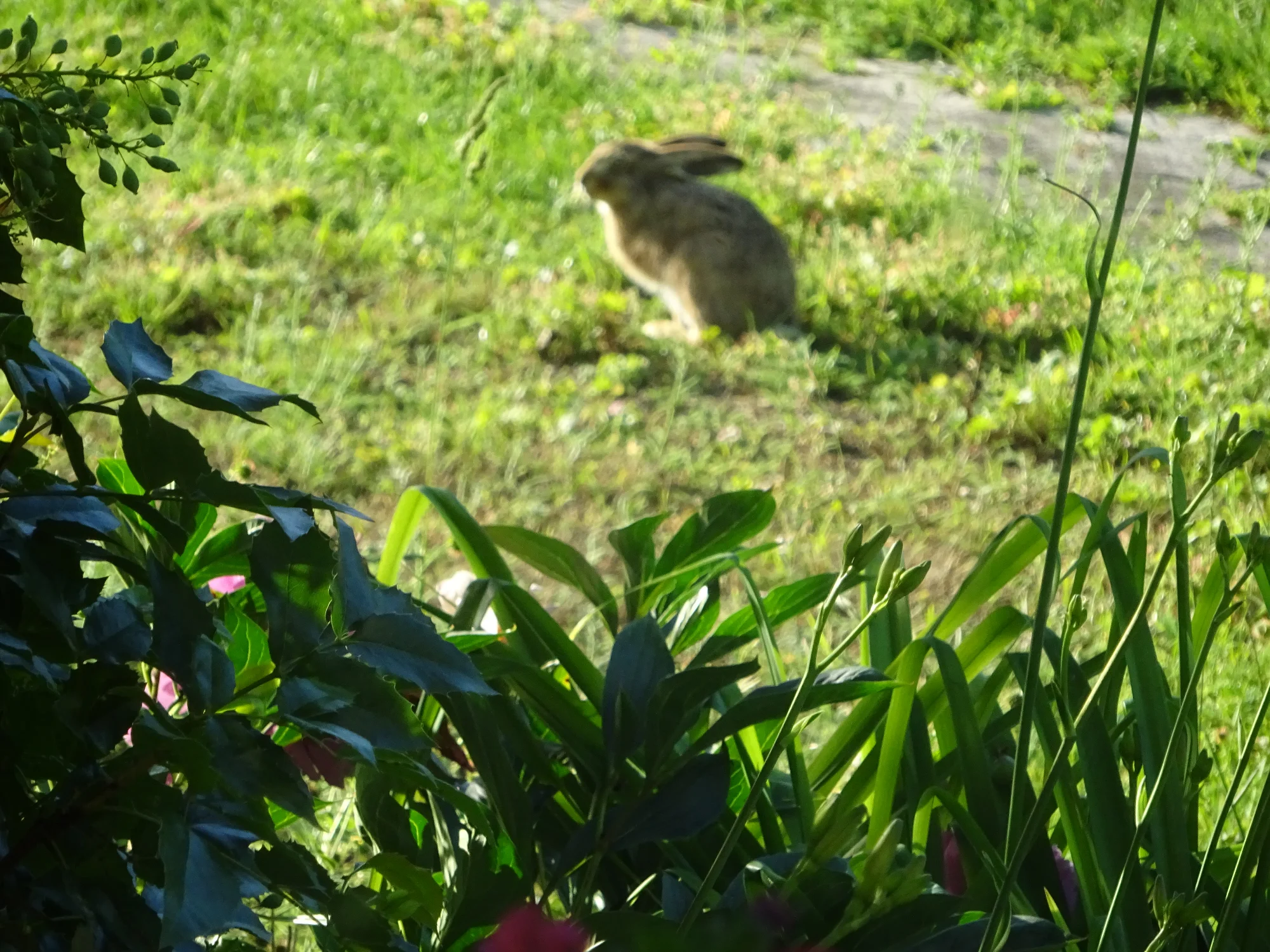 DSC04231.webp