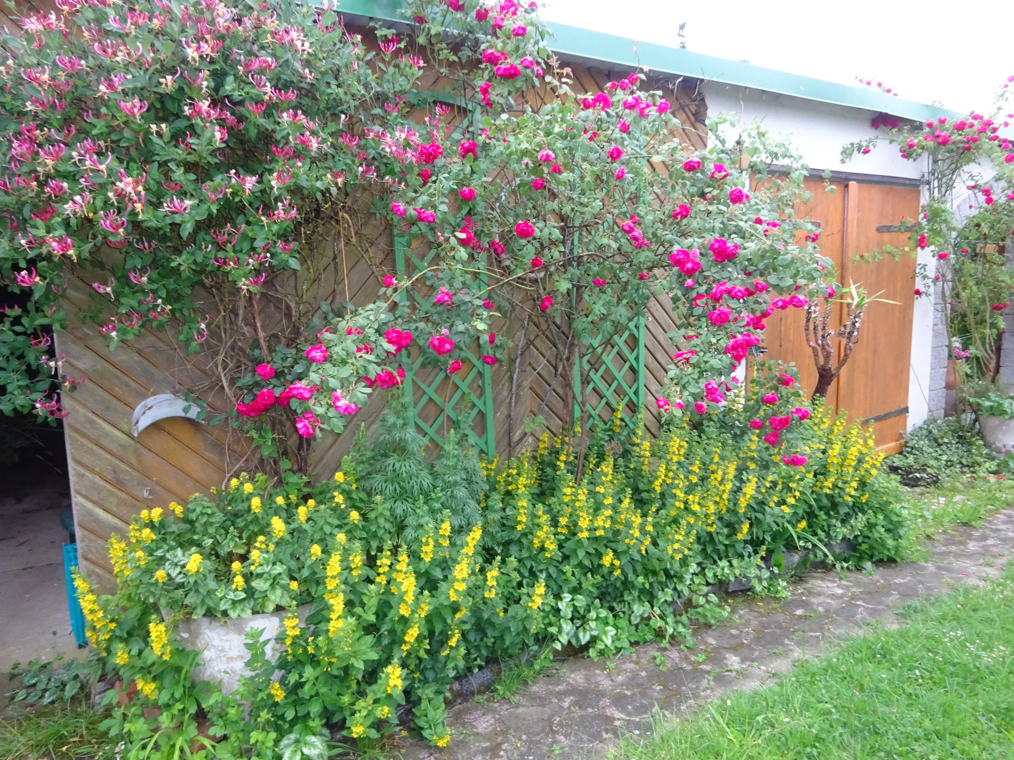 DSC04237.webp