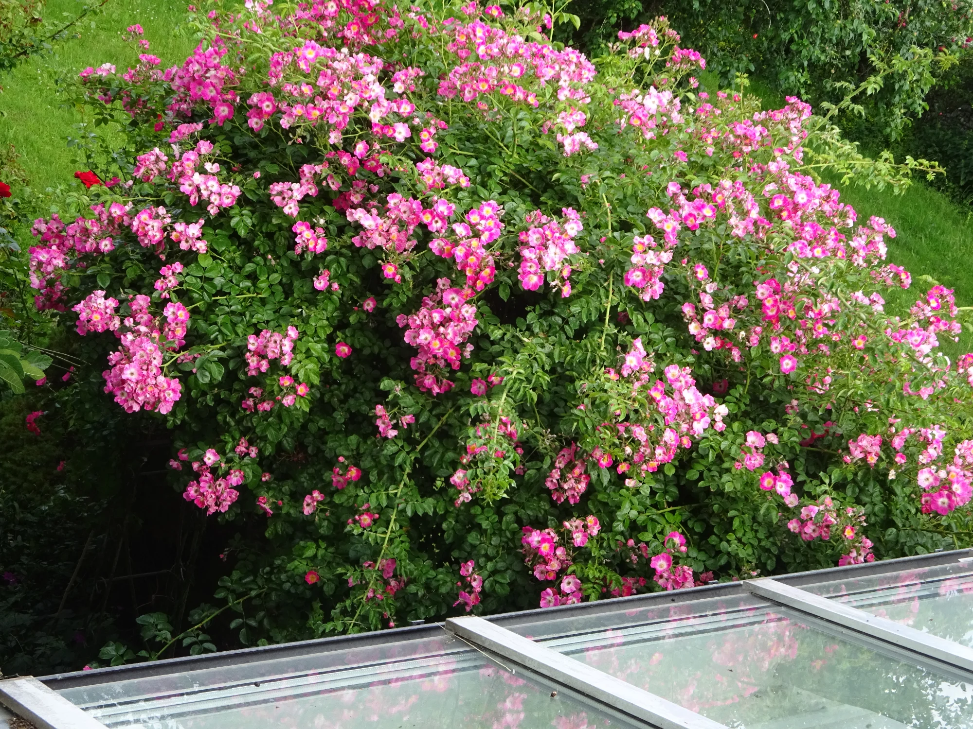 DSC04238.webp