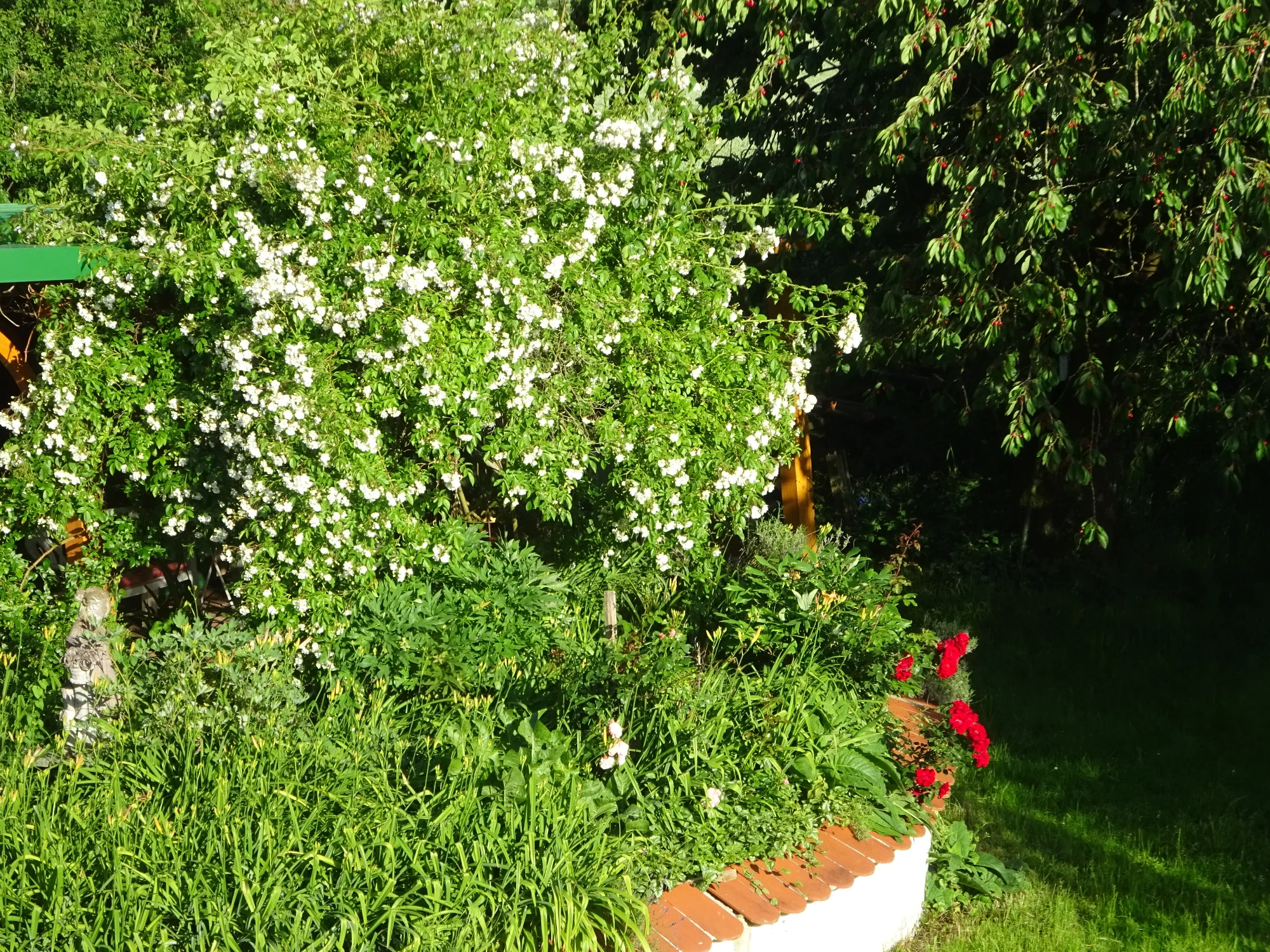 DSC04241.webp