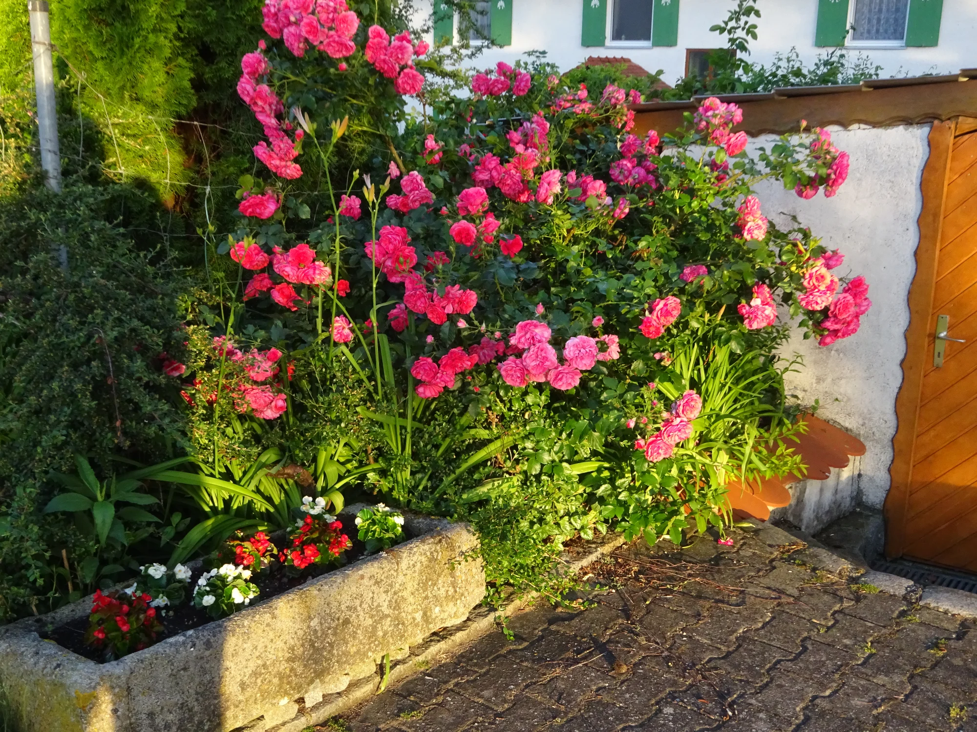 DSC04242.webp