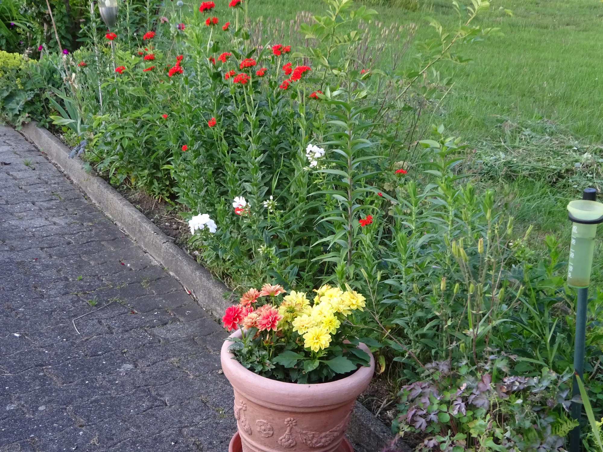 DSC04244.webp