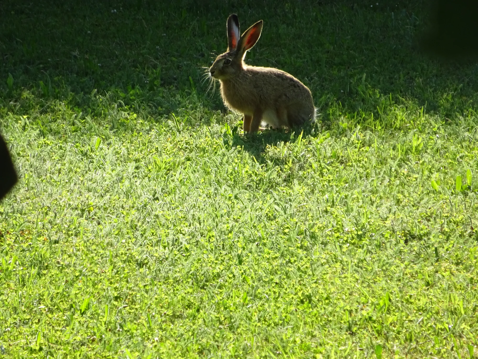 DSC04248.webp