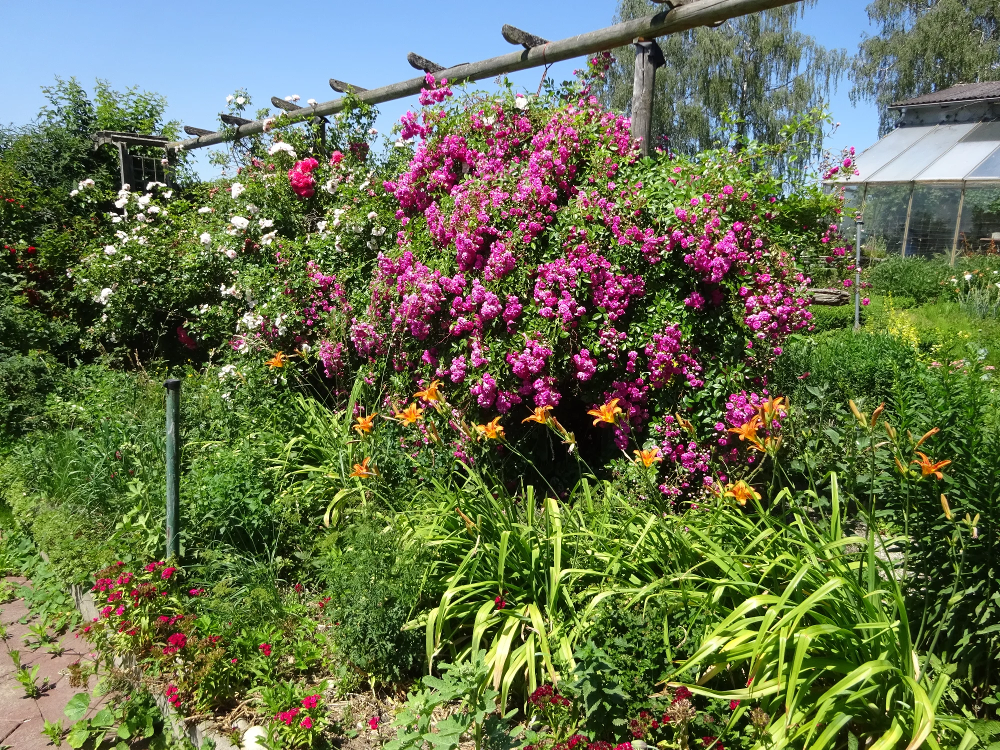DSC04249.webp