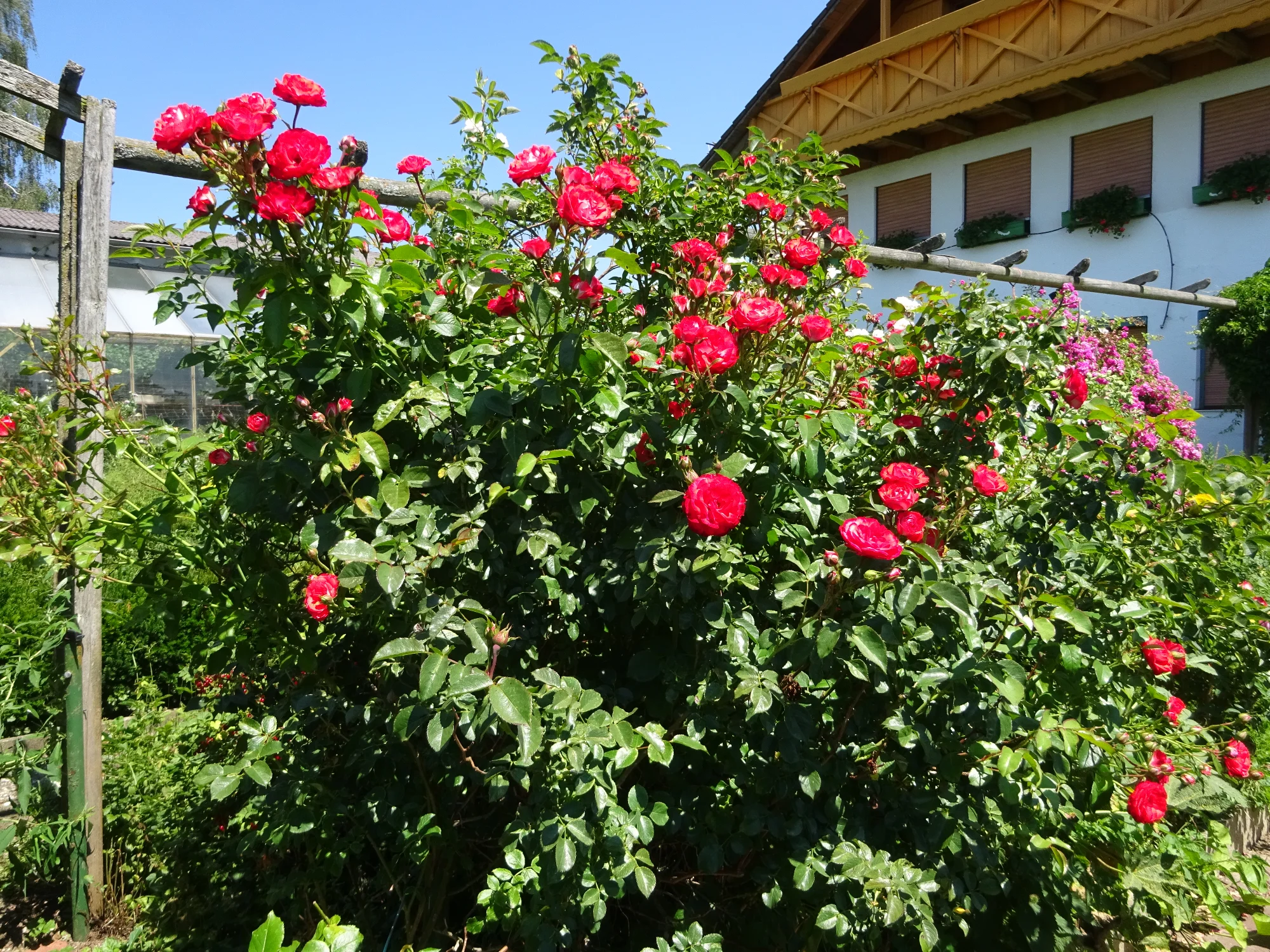 DSC04251.webp