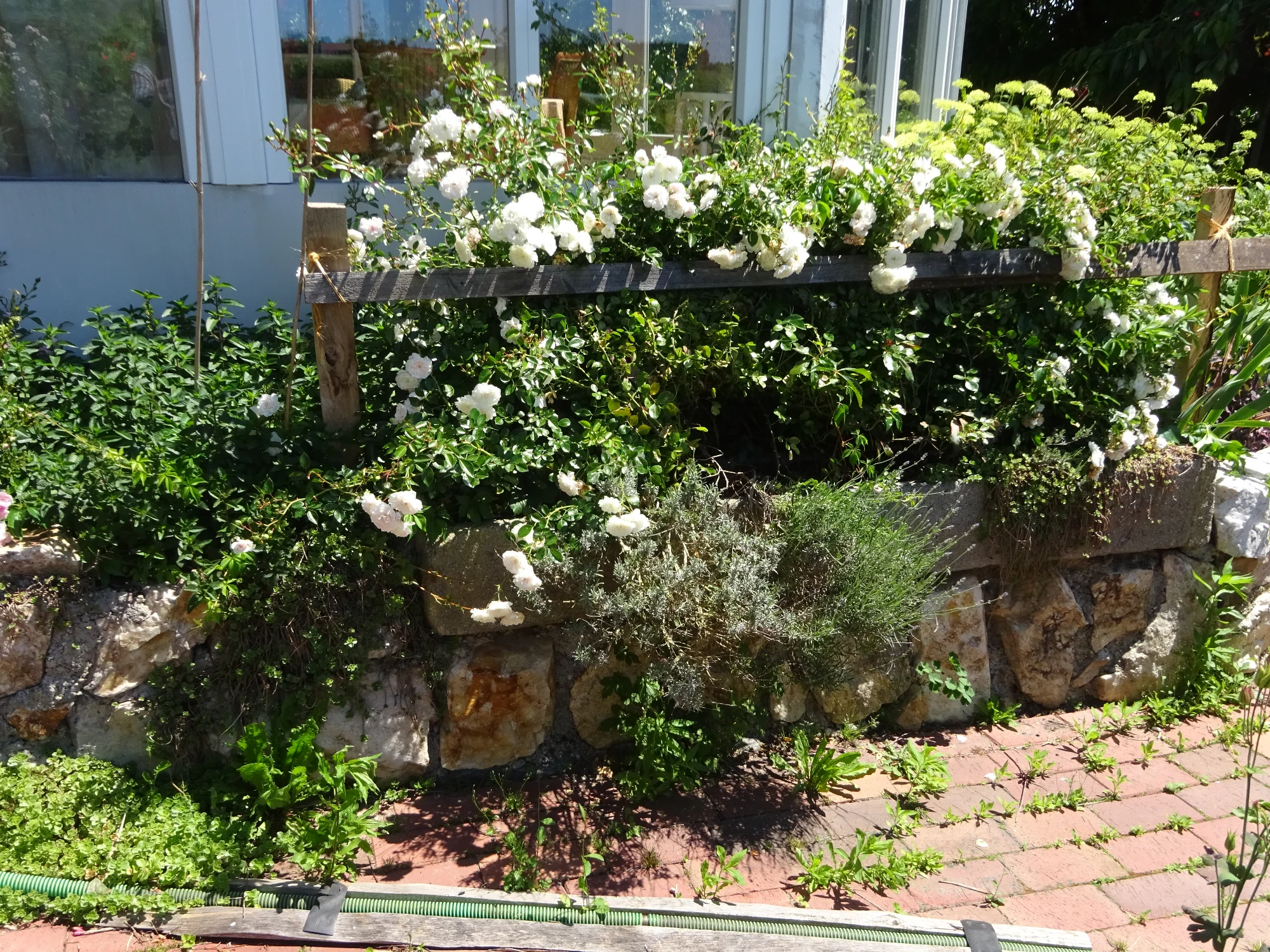 DSC04252.webp