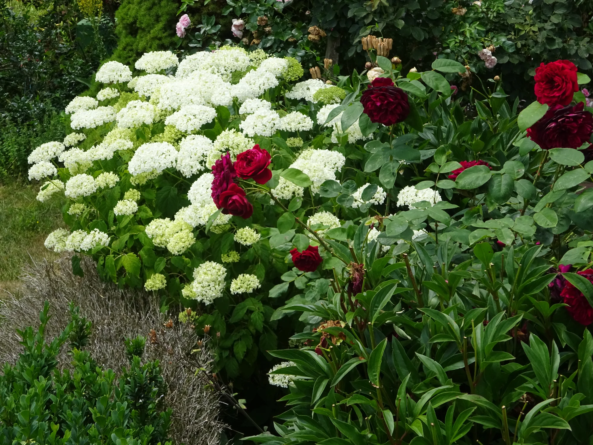 DSC04266.webp