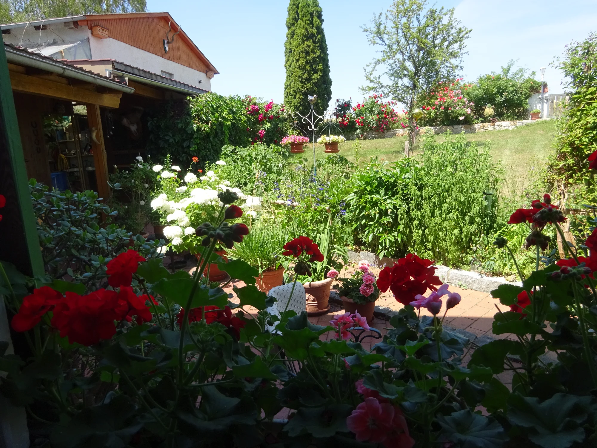 DSC04270.webp