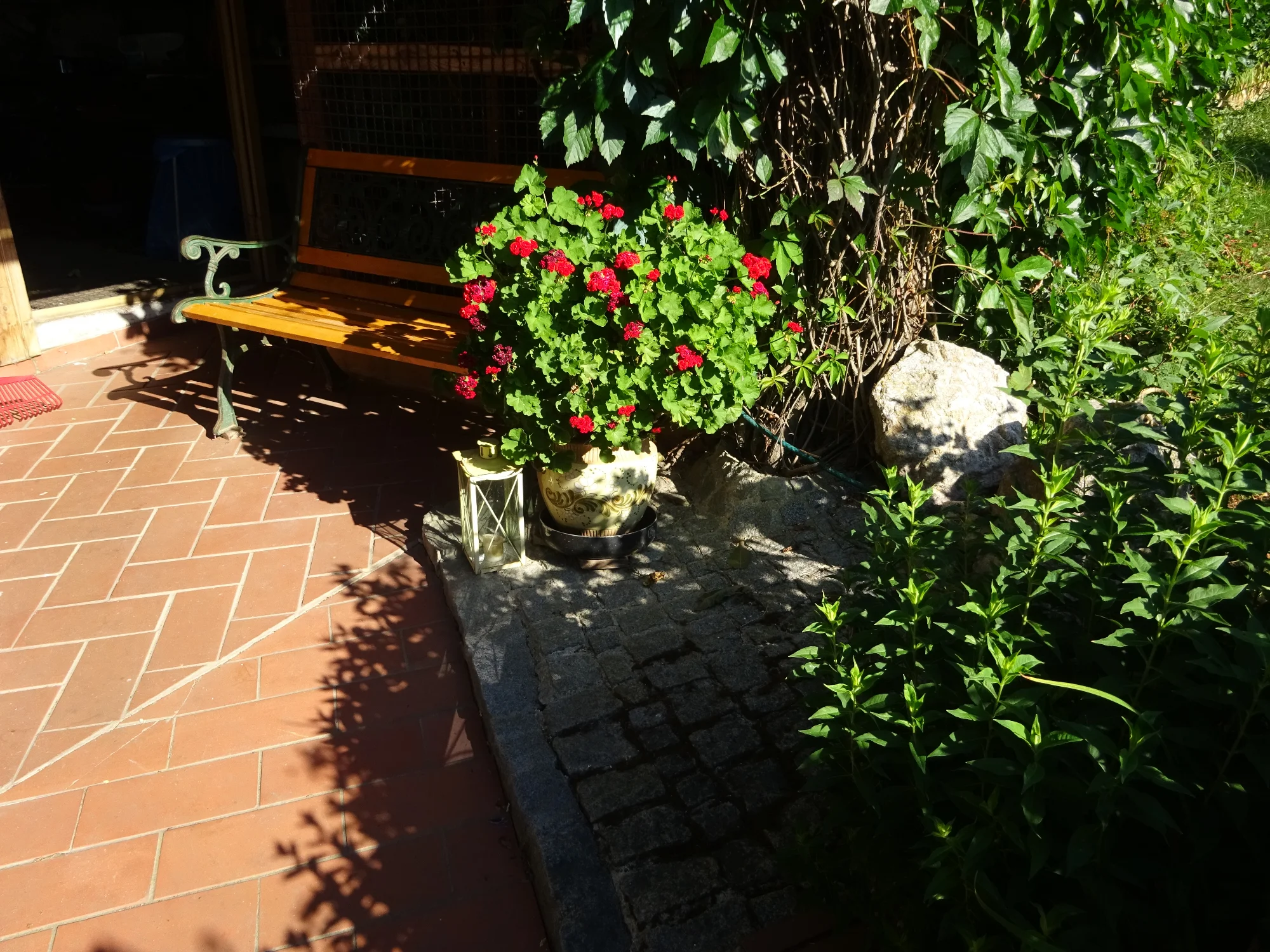DSC04283.webp
