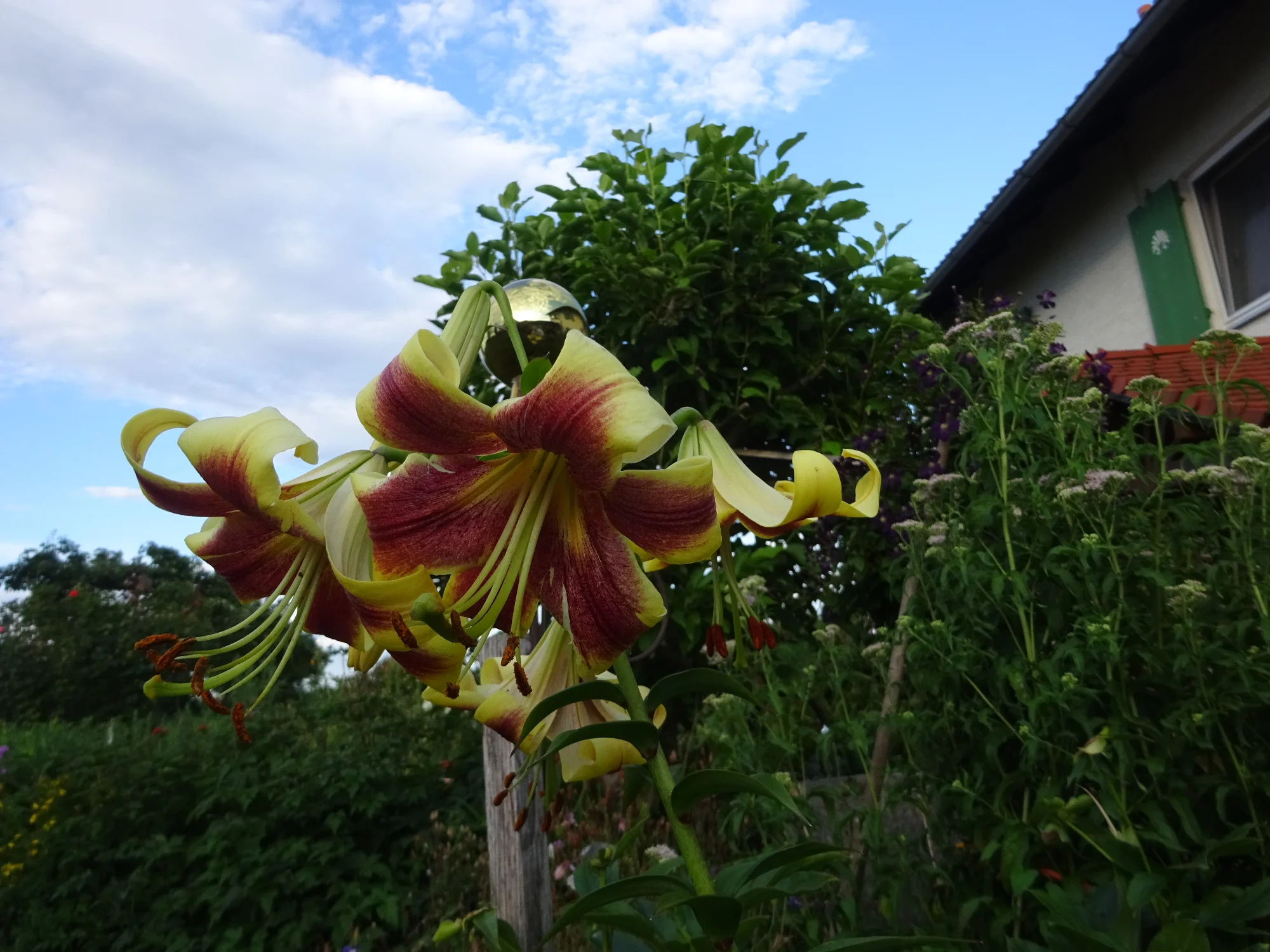 DSC04290.webp