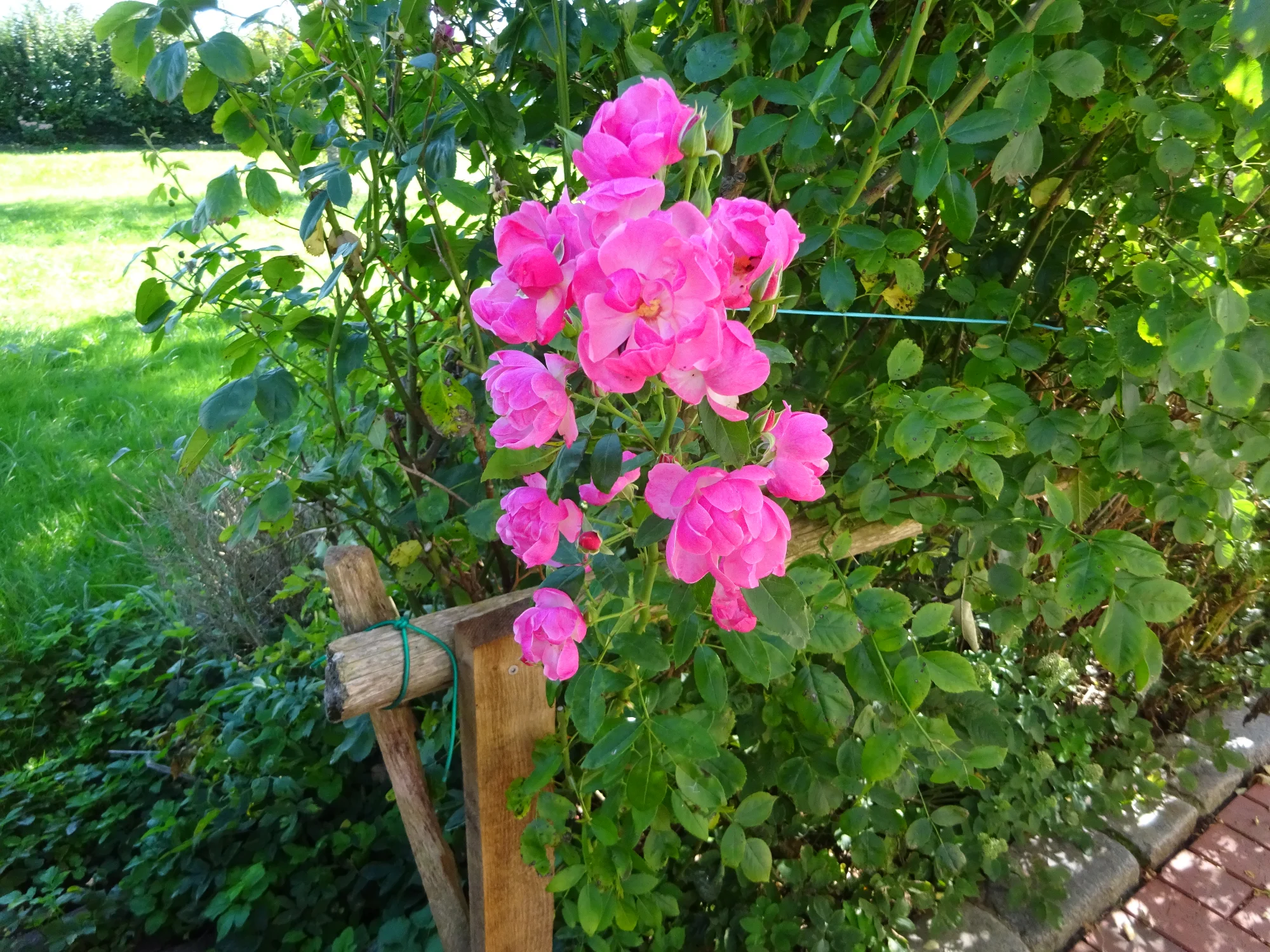 DSC04307.webp