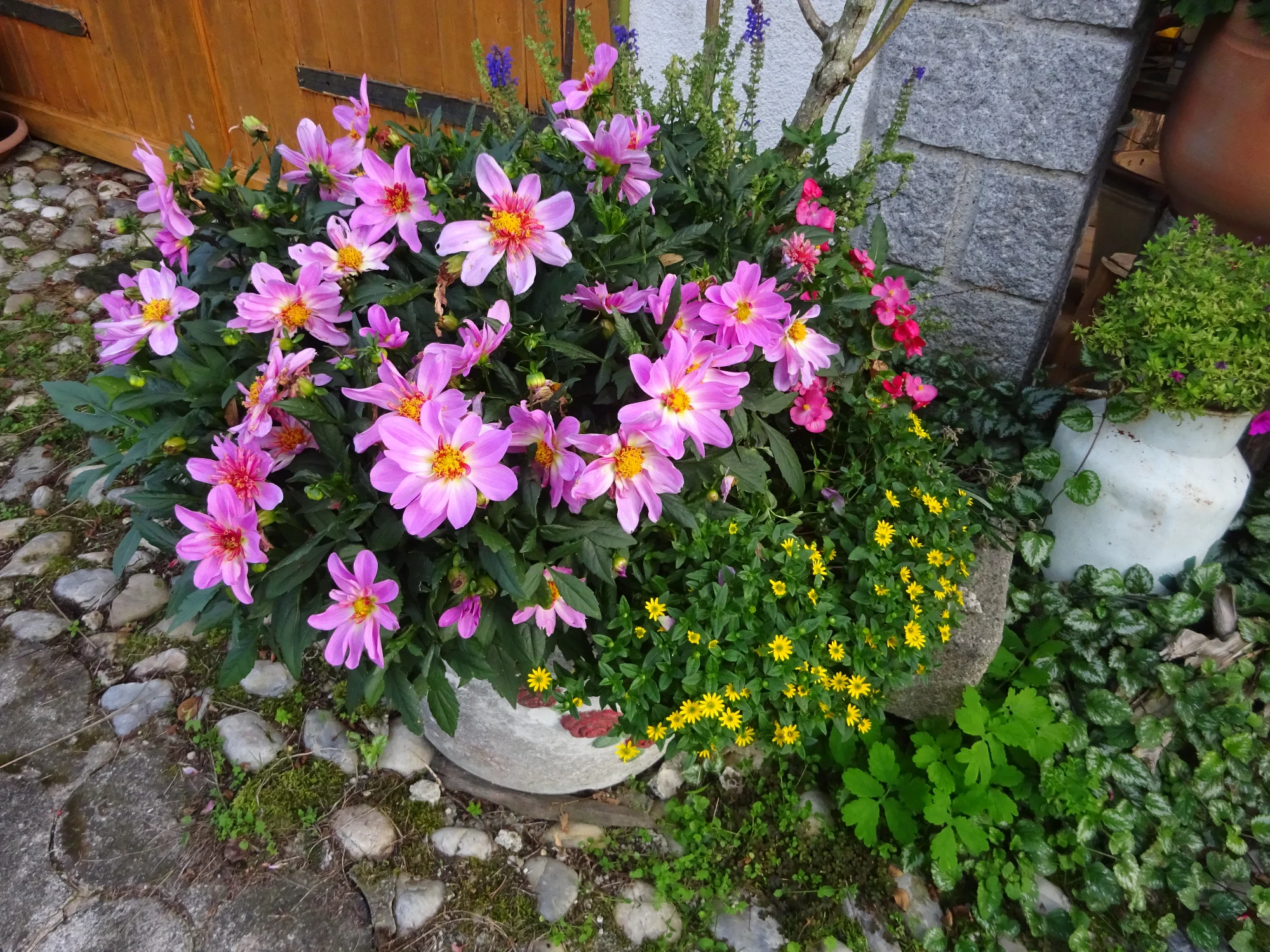 DSC04315.webp