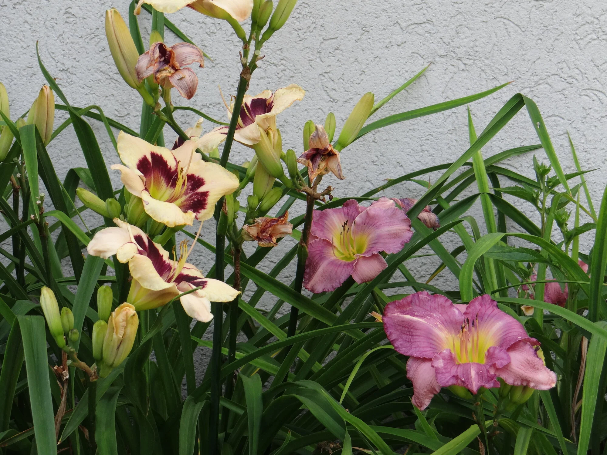 DSC05122.webp