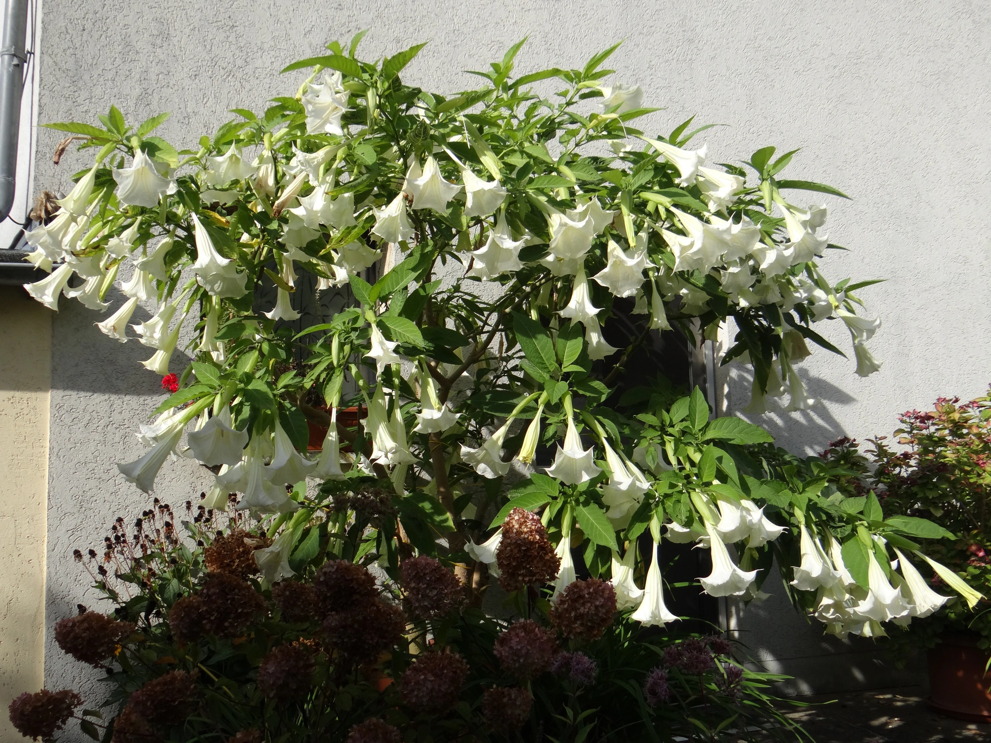 DSC05295.webp