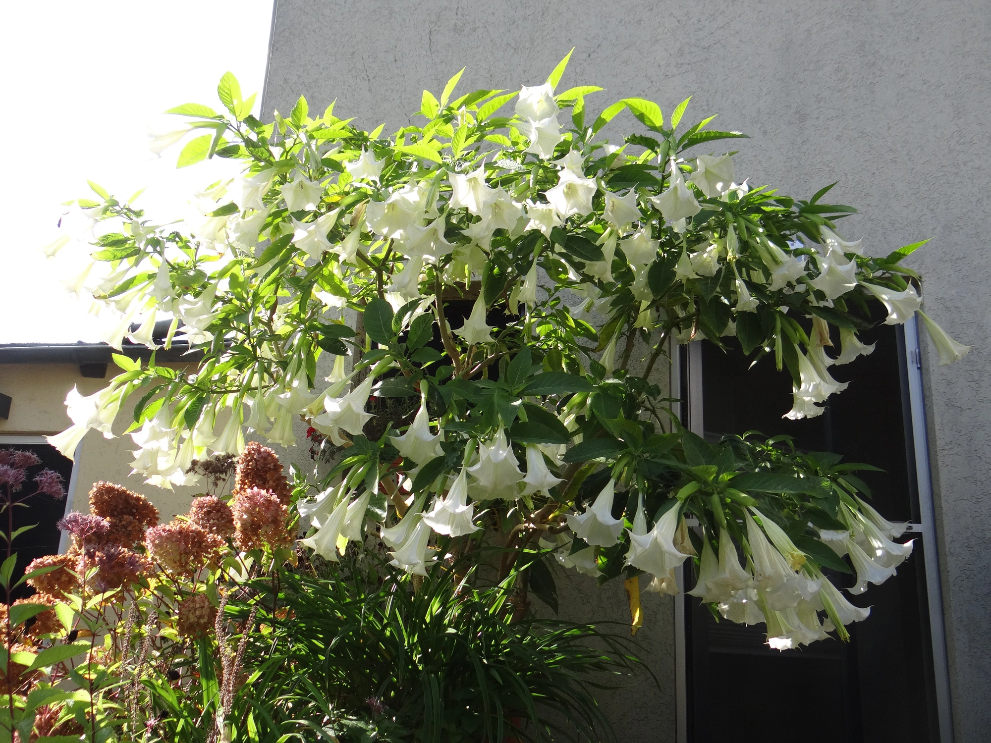 DSC05296.webp