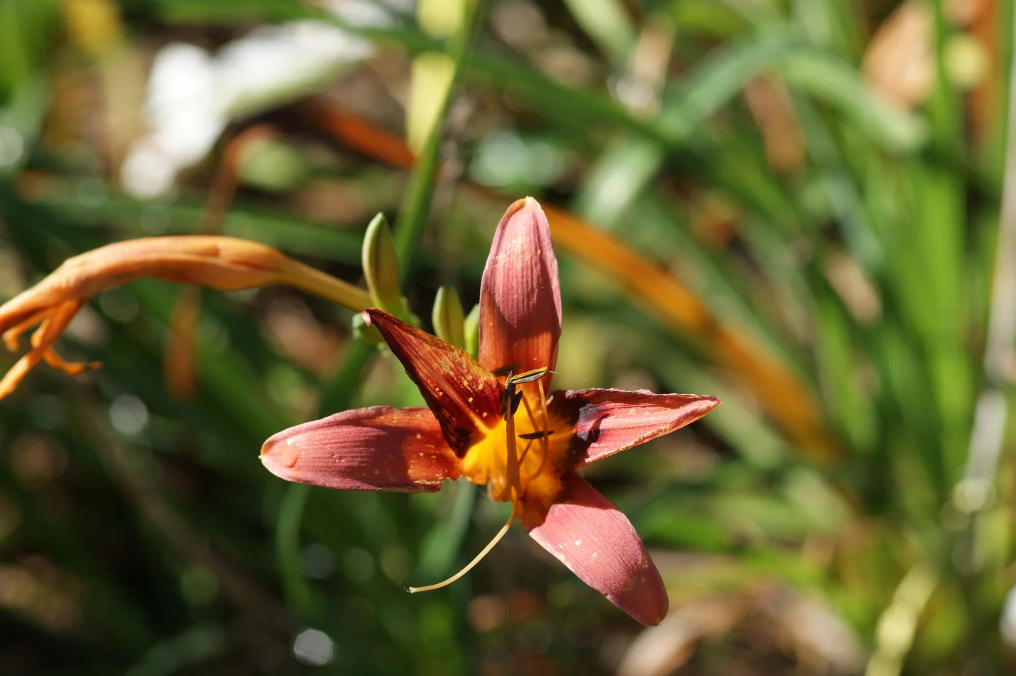 DSC07060.webp